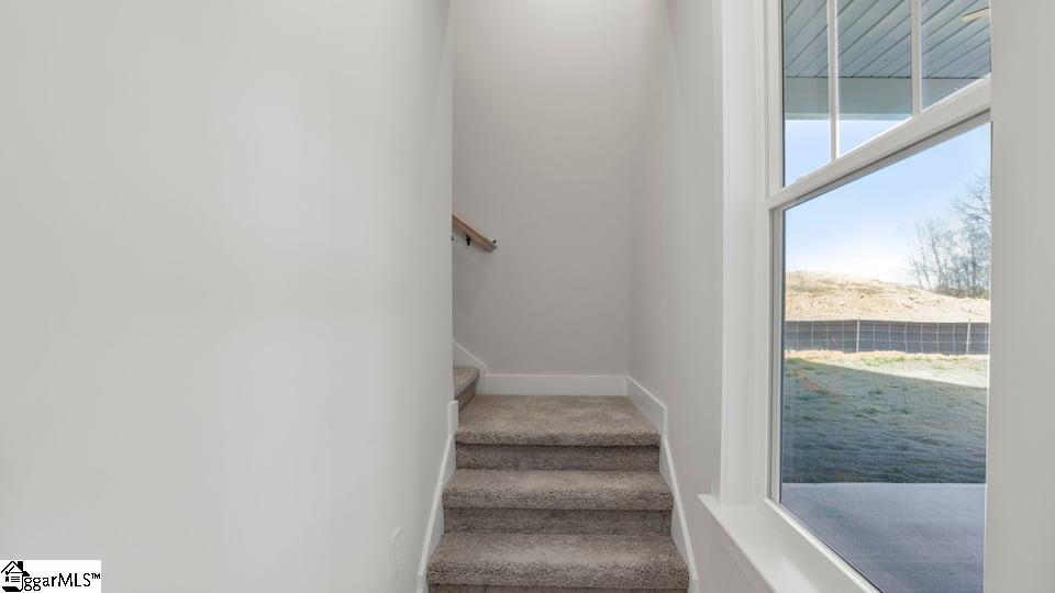 563 Winstone Trail Property Photo 25