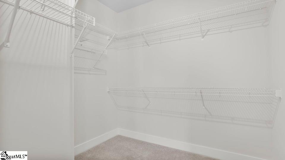 563 Winstone Trail Property Photo 31
