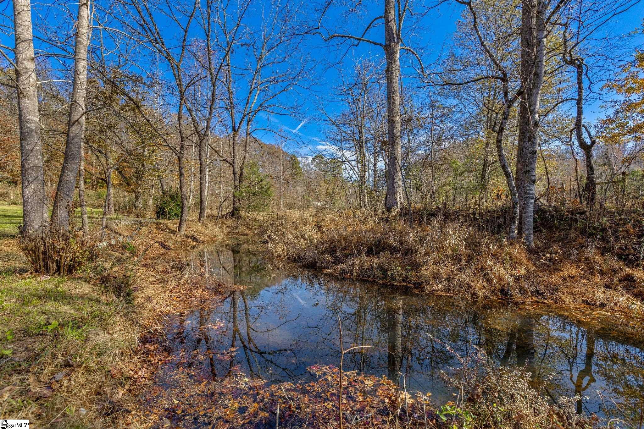 202 Cove Creek Road Property Photo 4