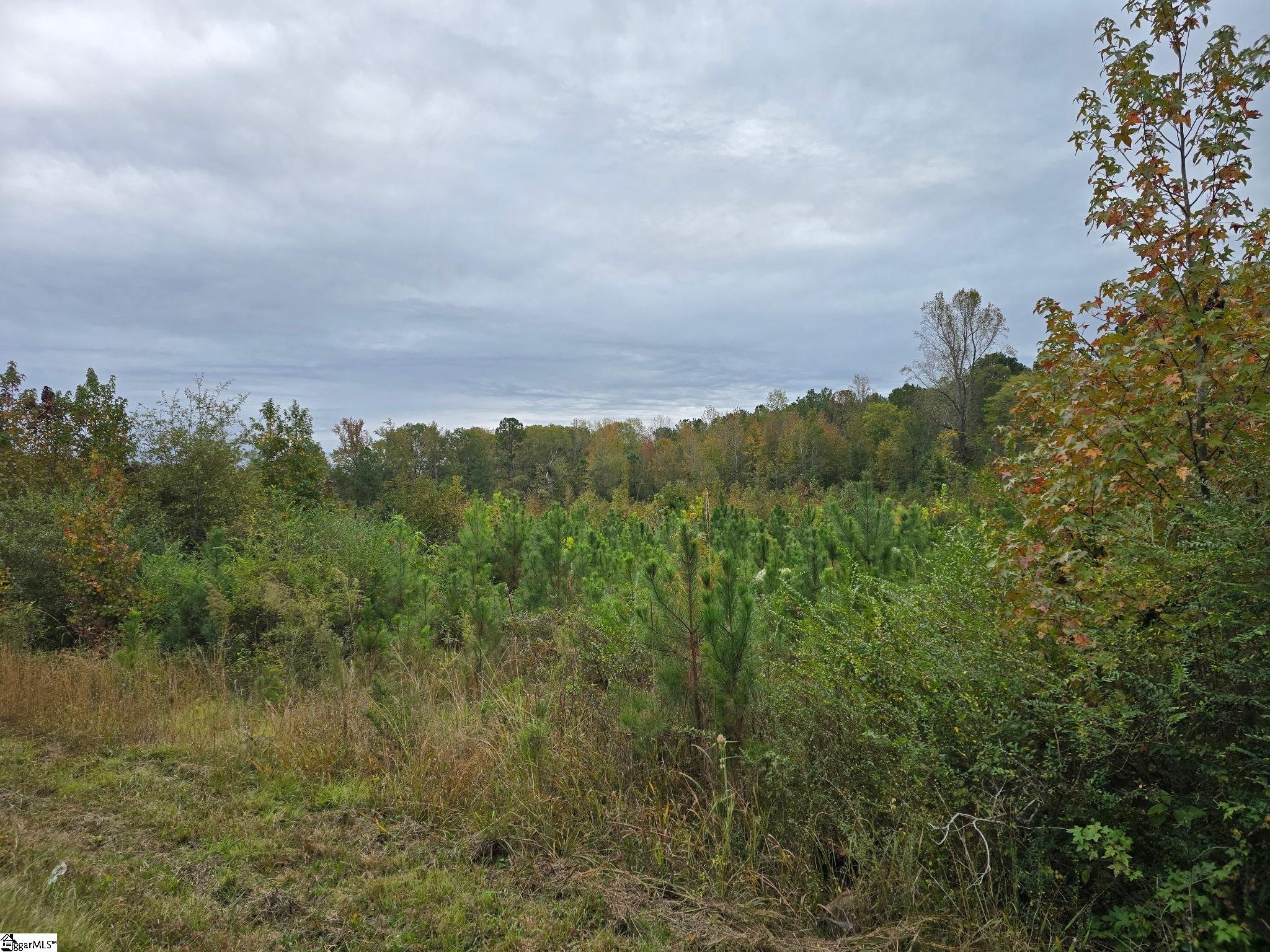 0 E Highway 378 Property Photo 2