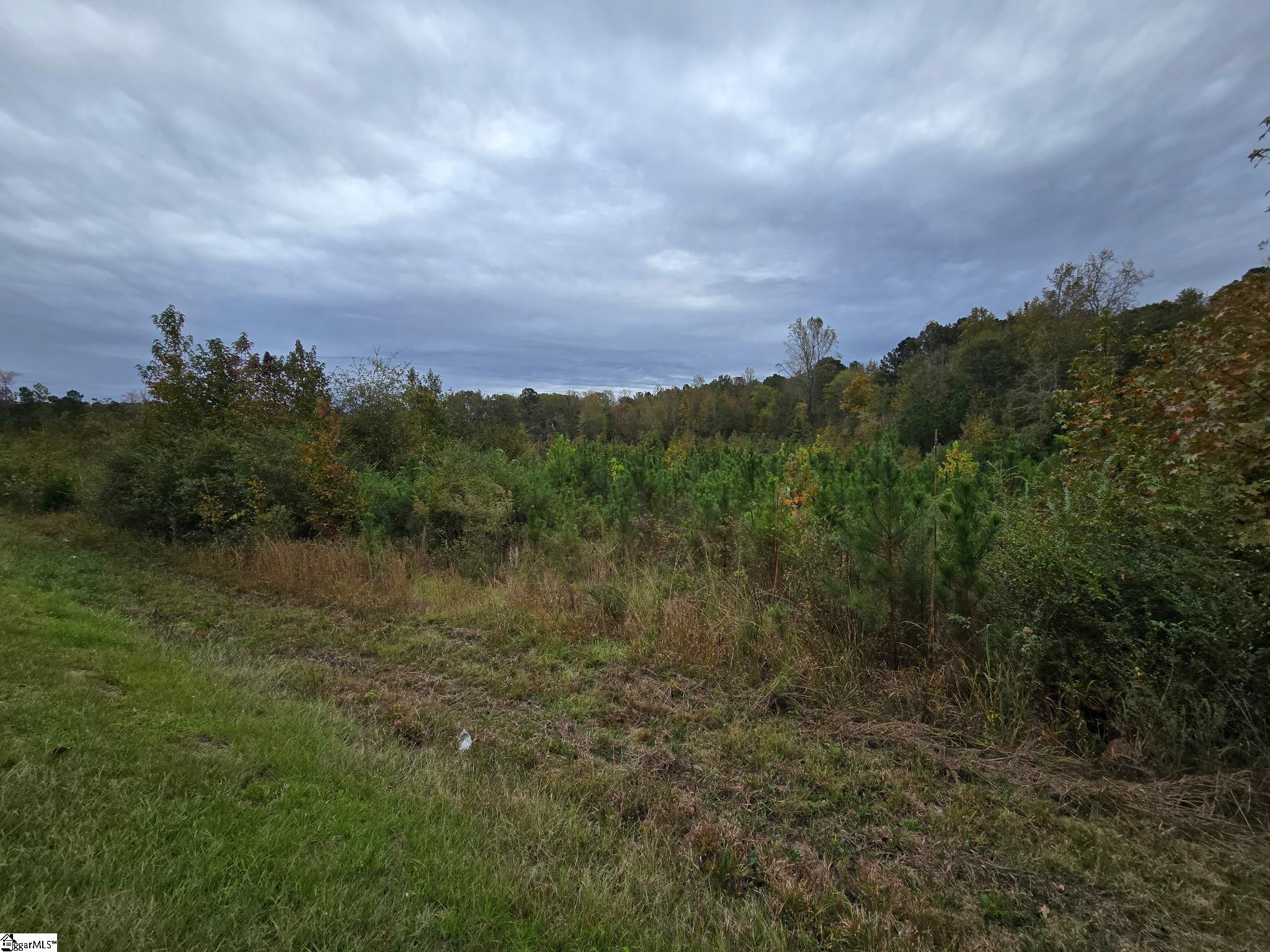 0 E Highway 378 Property Photo 3