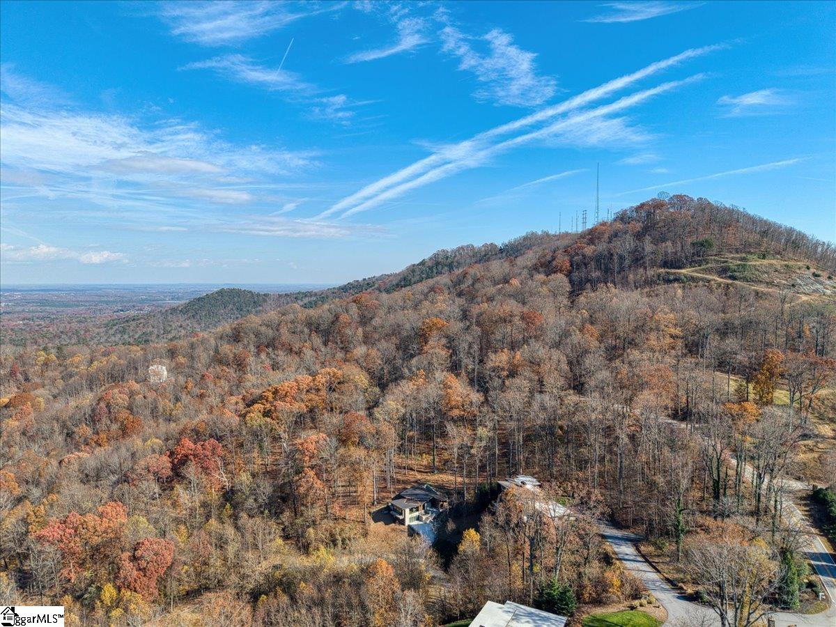 30 Windfaire Pass Court Property Photo 47