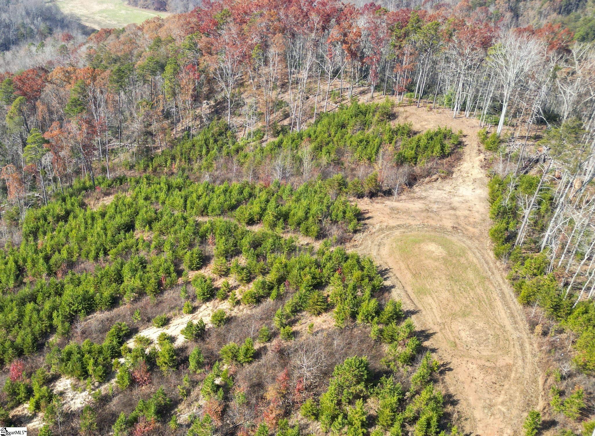 0 Skyland Drive Property Photo 21