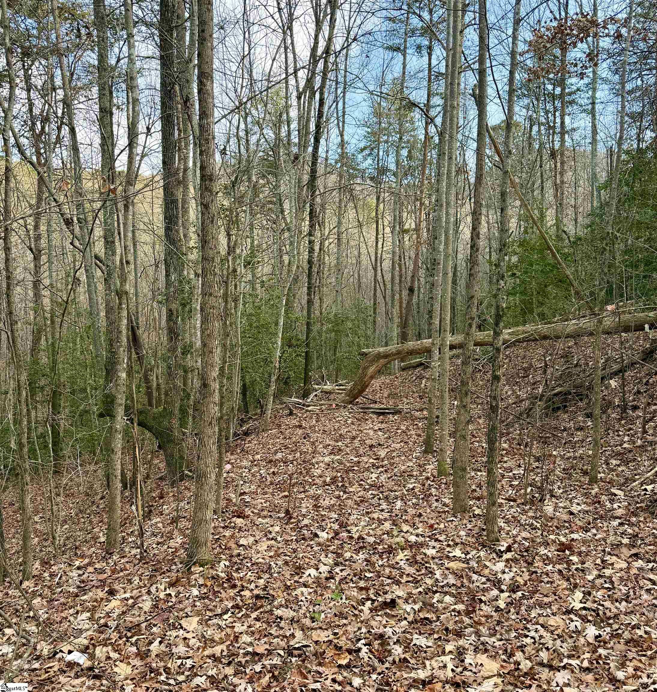 91 Roco Trail Property Photo 5