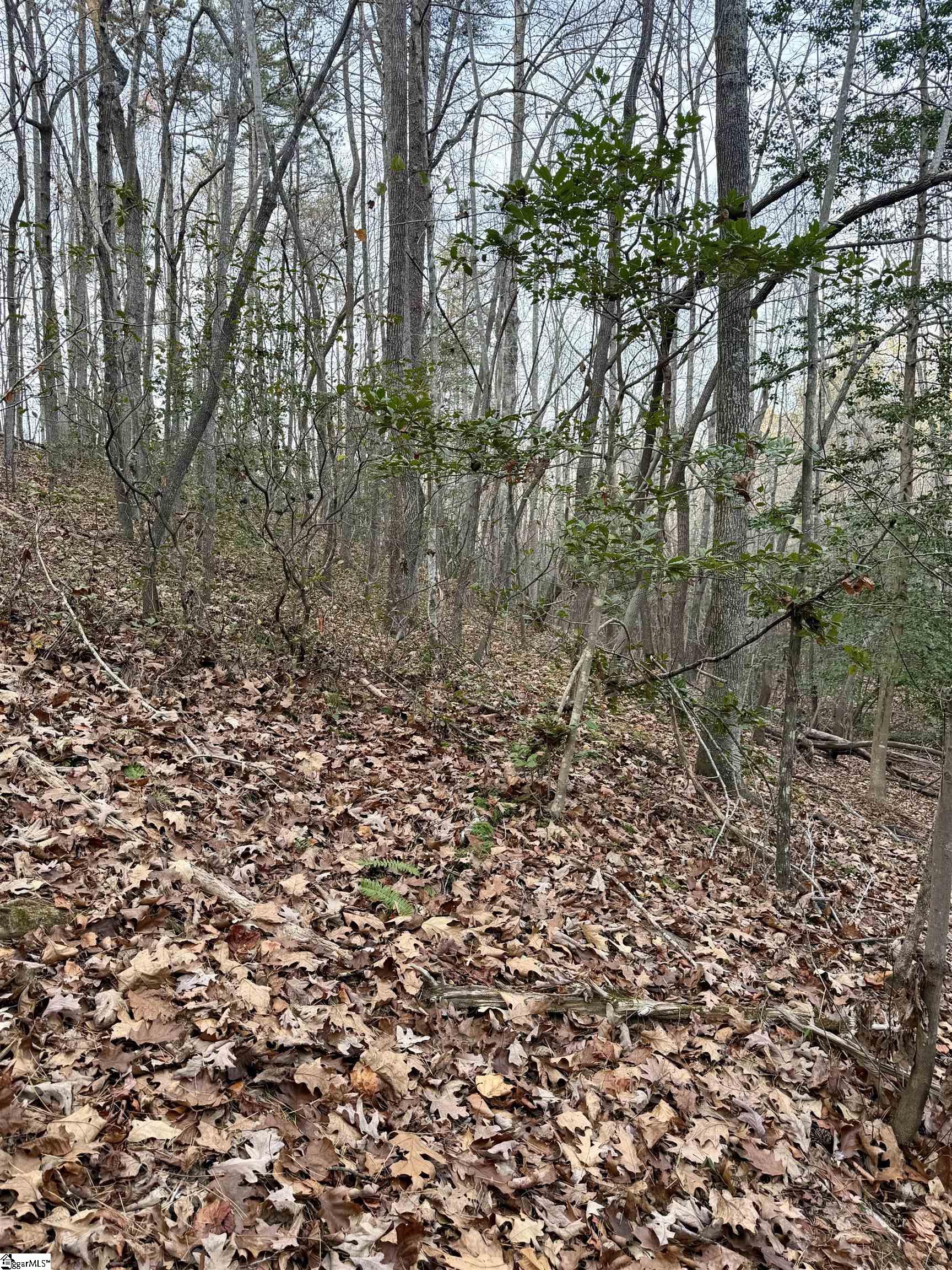 91 Roco Trail Property Photo 6