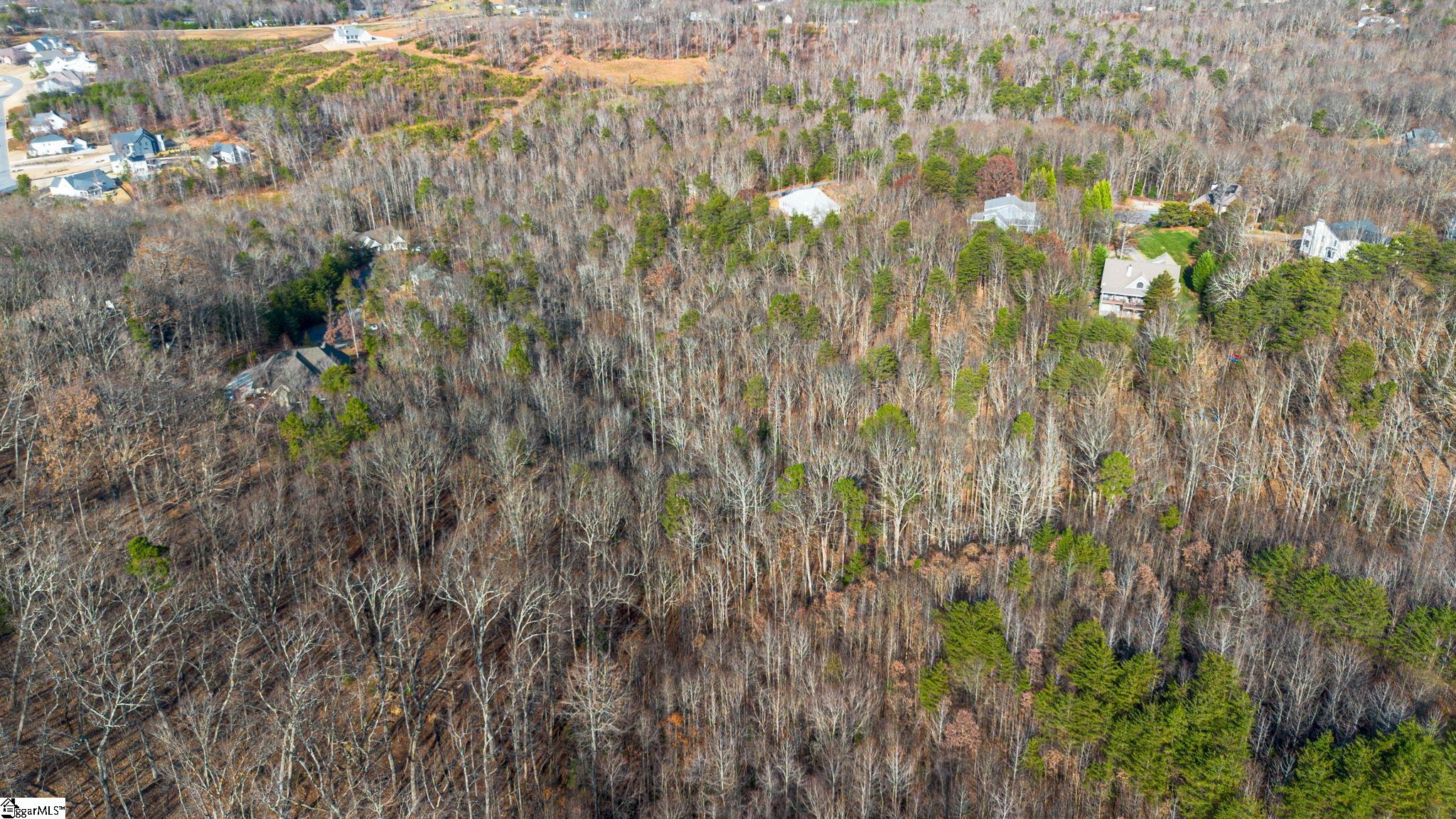 91 Roco Trail Property Photo 11