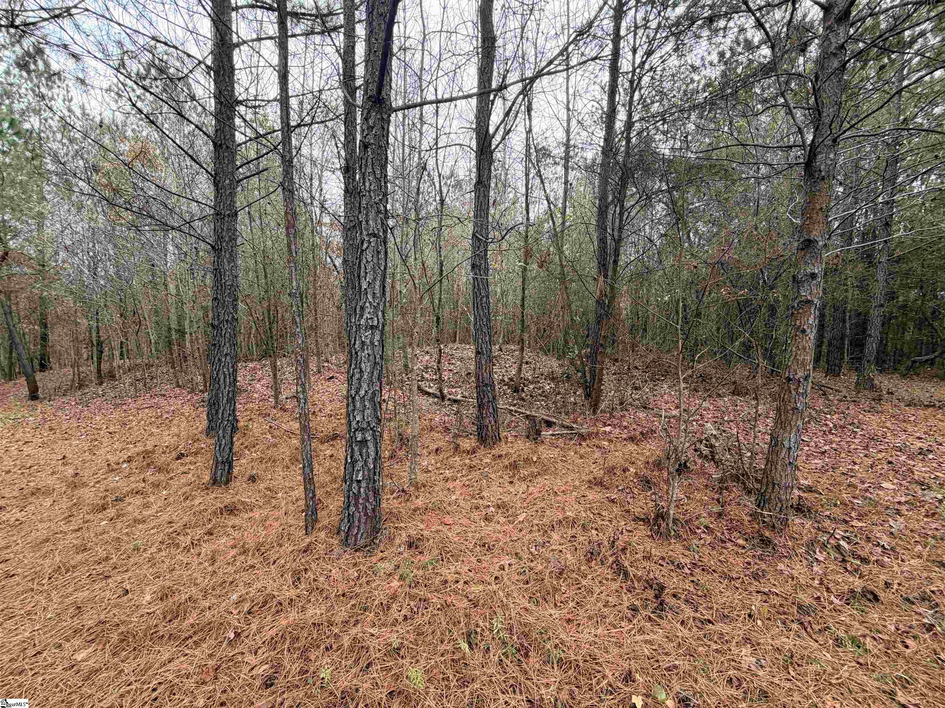 00 Cardinal Drive Property Photo 10