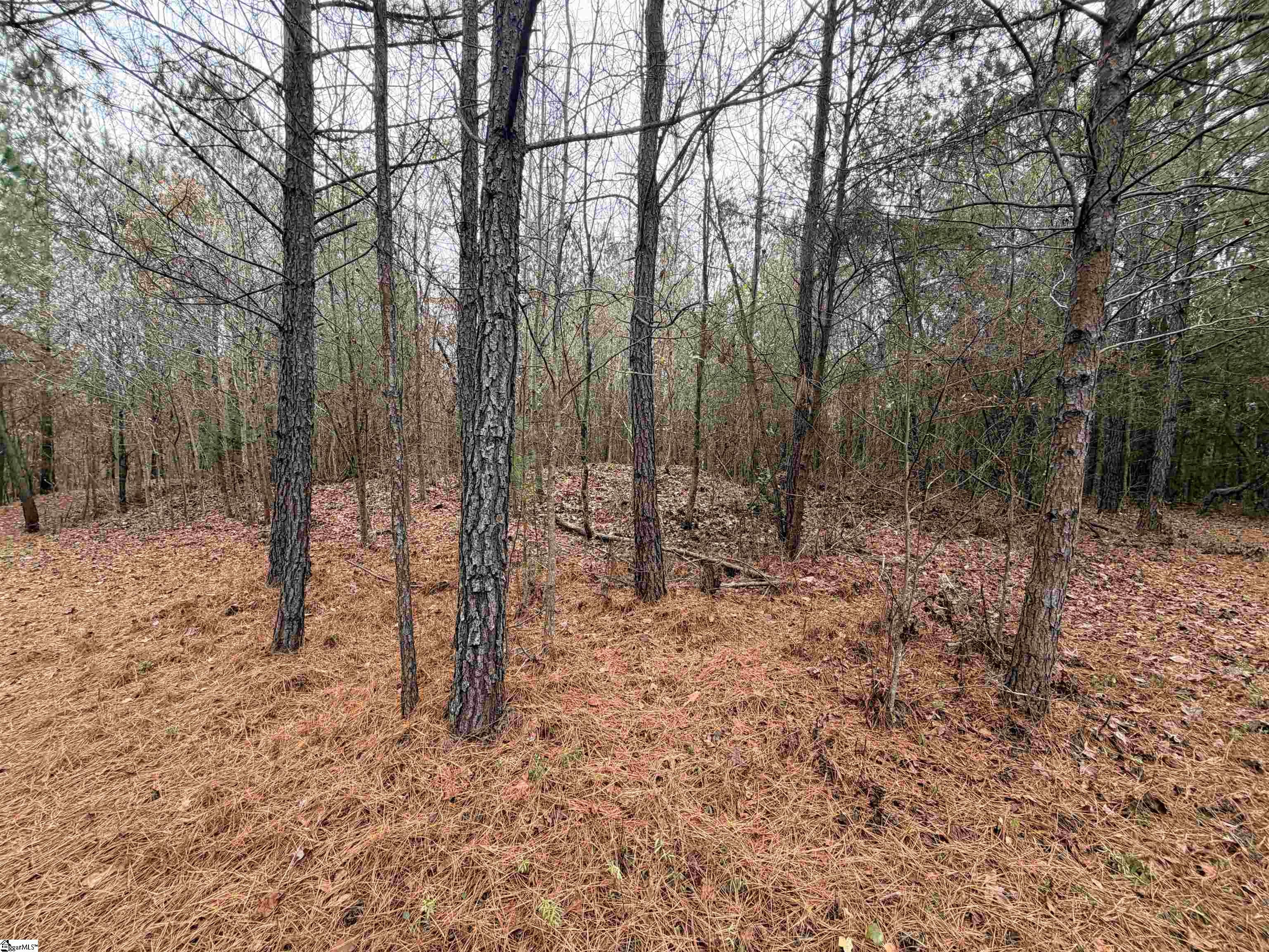 00 Cardinal Drive Property Photo 11