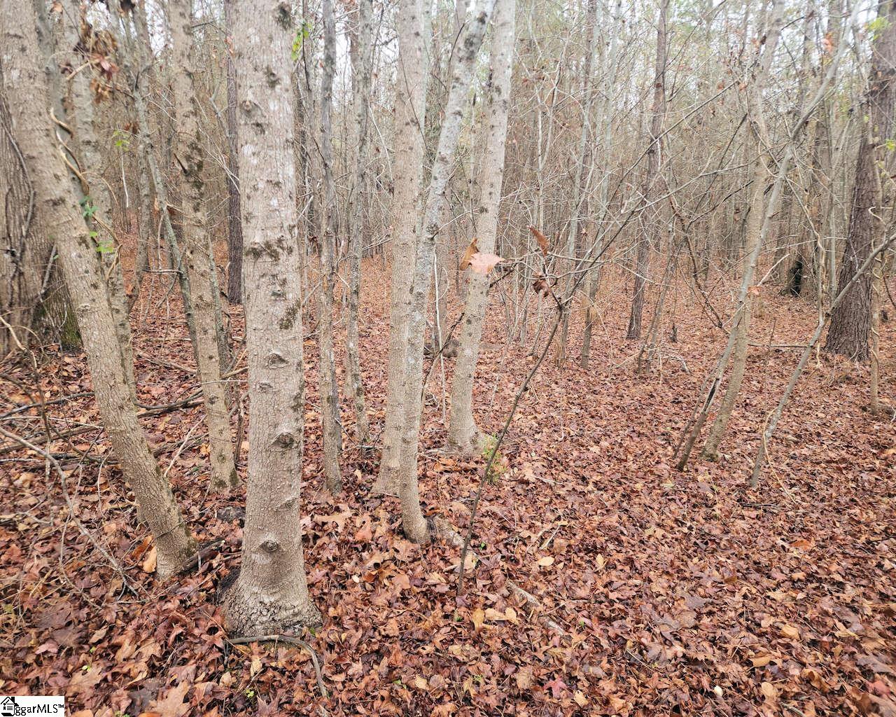 Scott Lane Property Photo 4