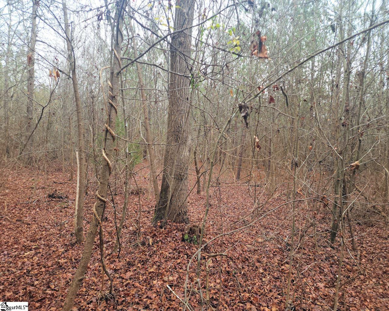 Scott Lane Property Photo 5