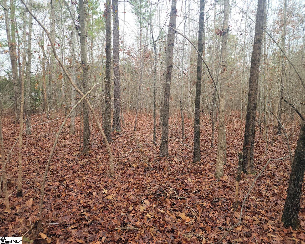 Scott Lane Property Photo 6