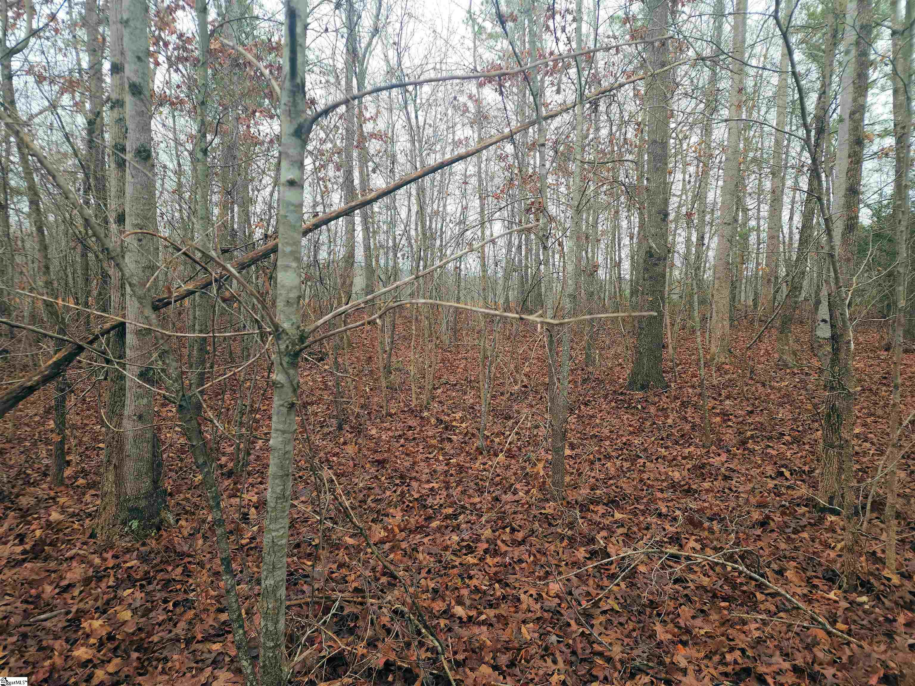 Scott Lane Property Photo 7