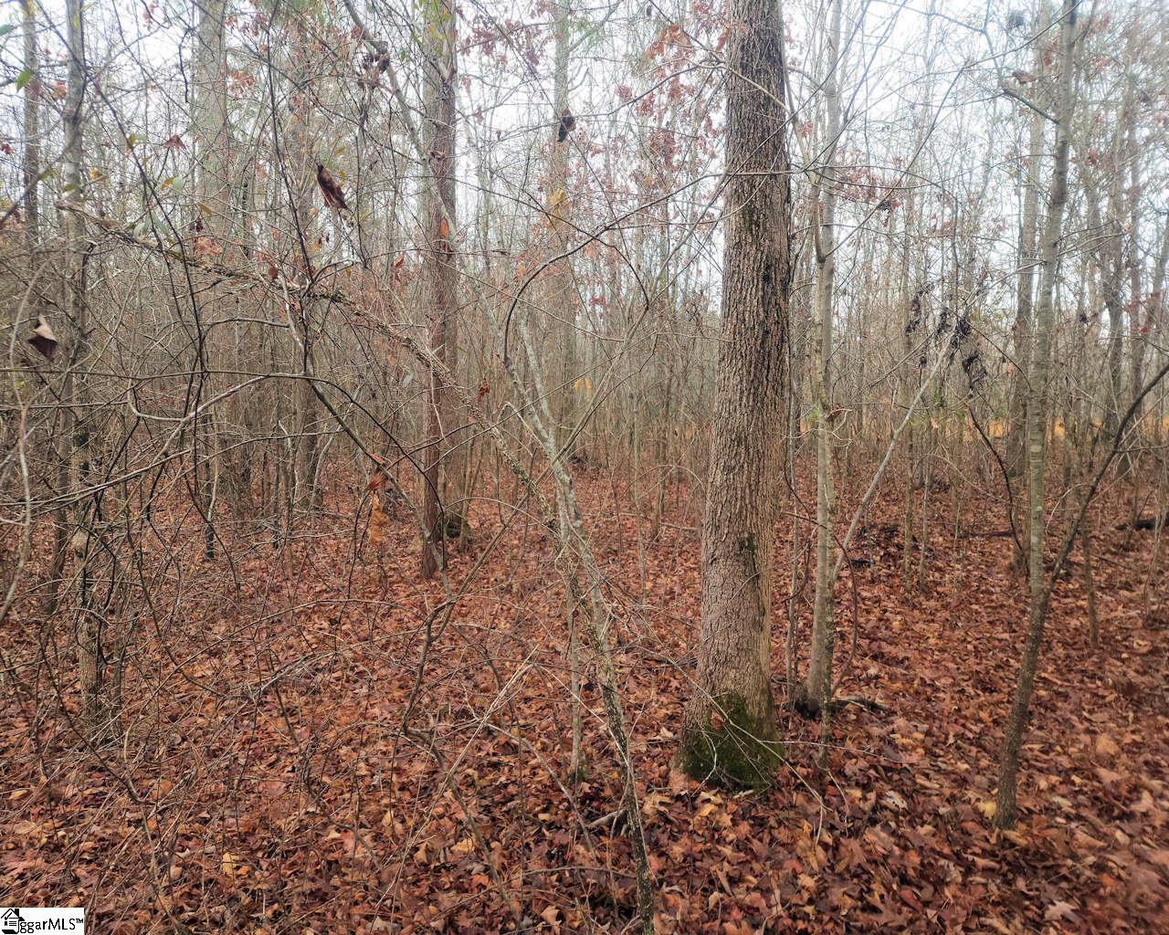 Scott Lane Property Photo 8