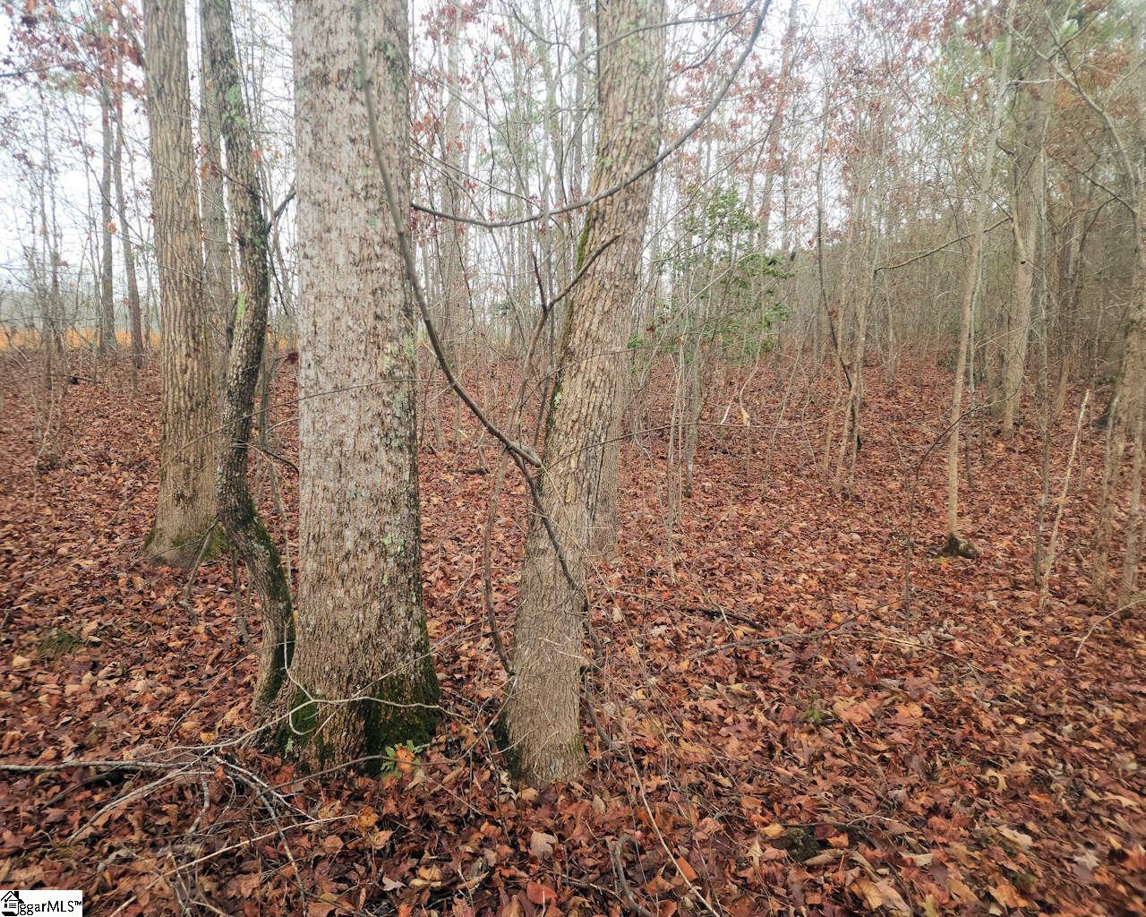 Scott Lane Property Photo 9