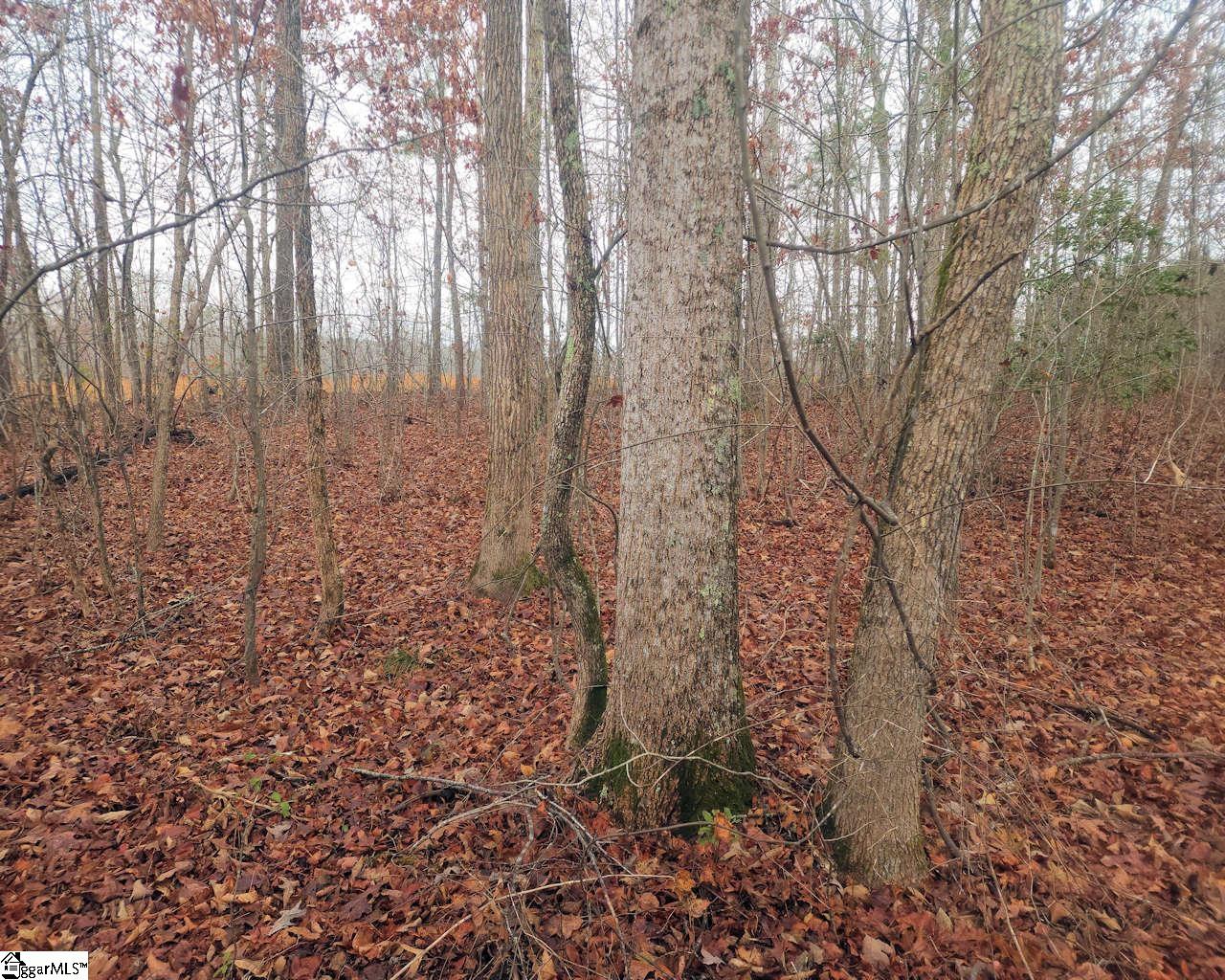 Scott Lane Property Photo 10