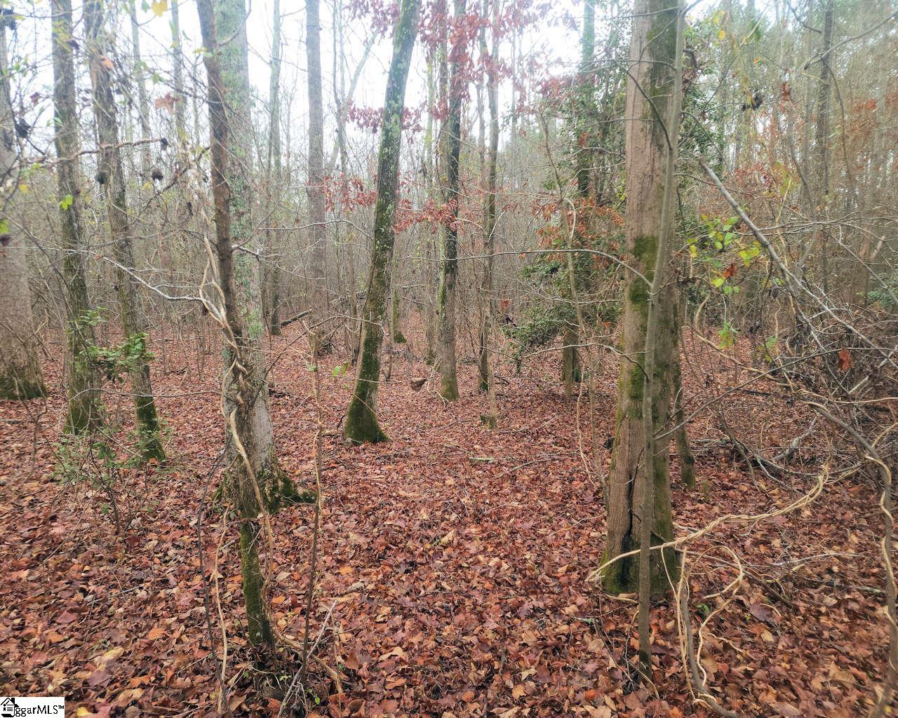 Scott Lane Property Photo 11