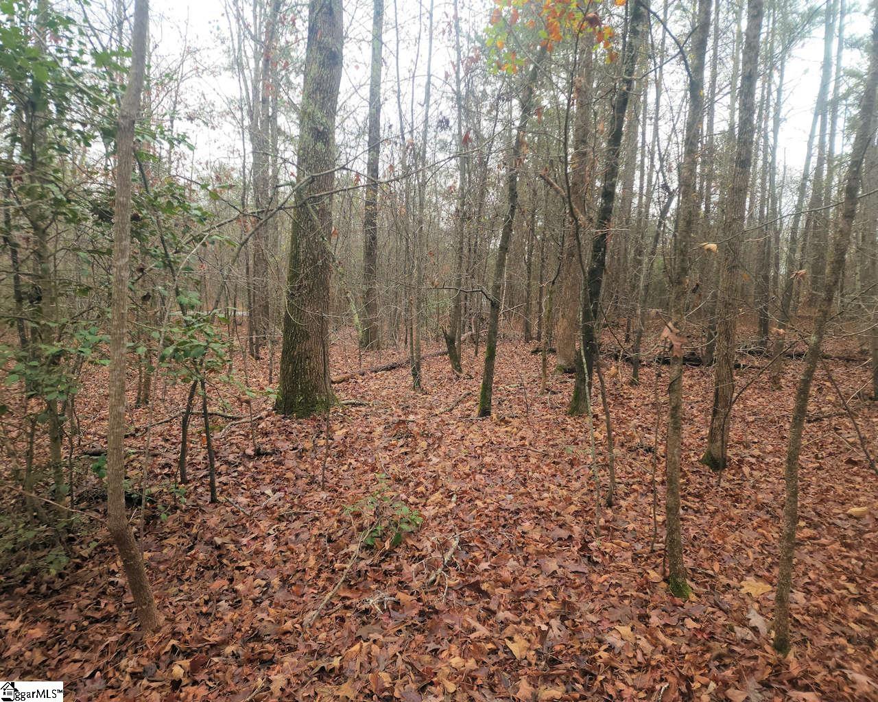 Scott Lane Property Photo 12