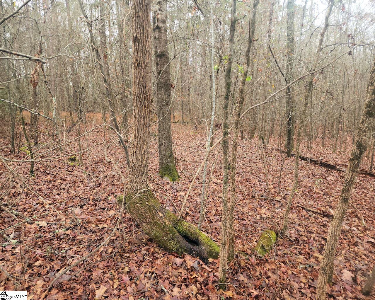 Scott Lane Property Photo 13