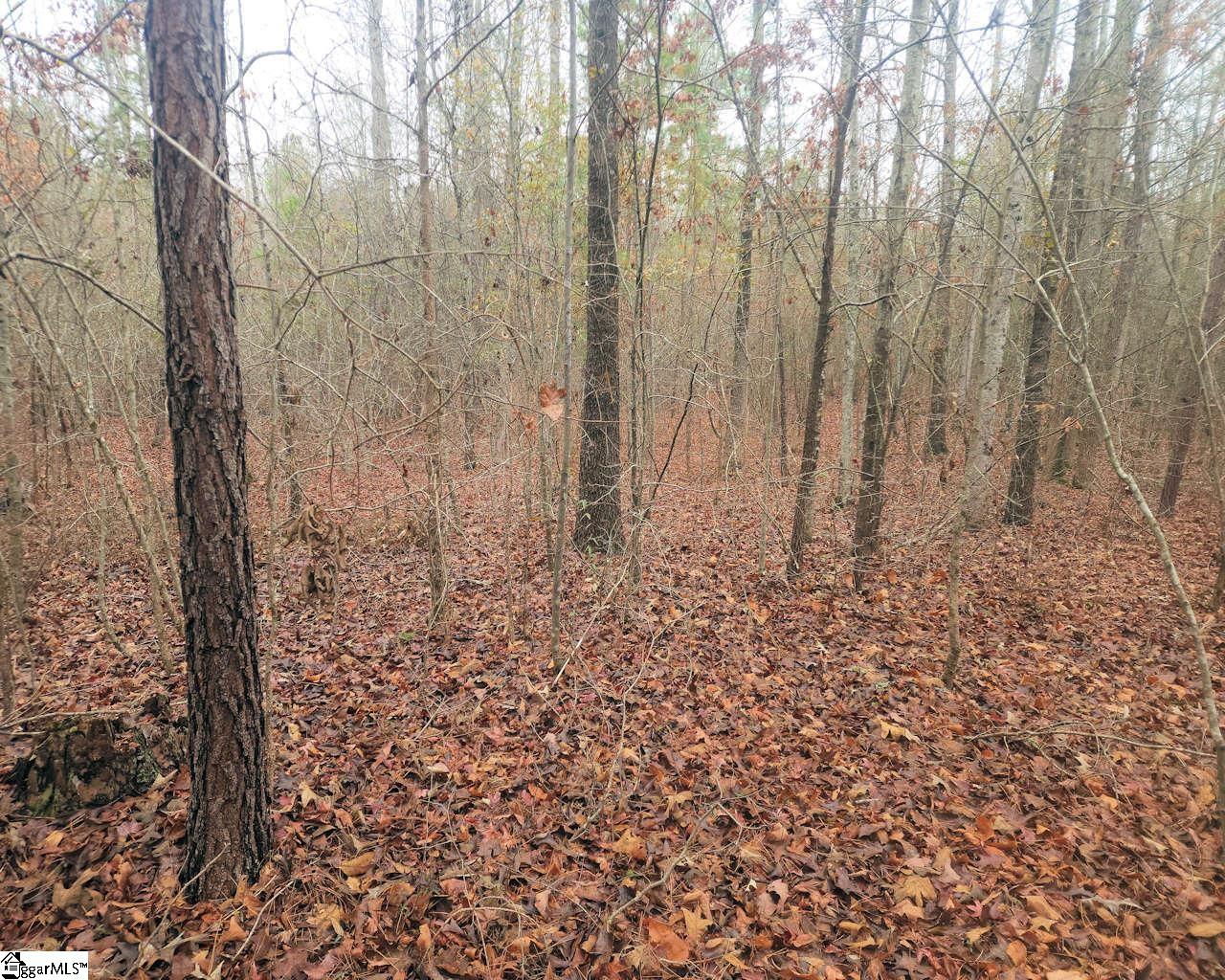 Scott Lane Property Photo 14