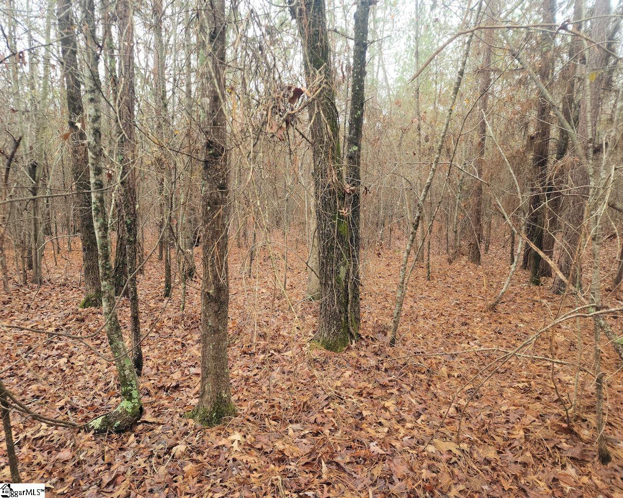 Scott Lane Property Photo 15
