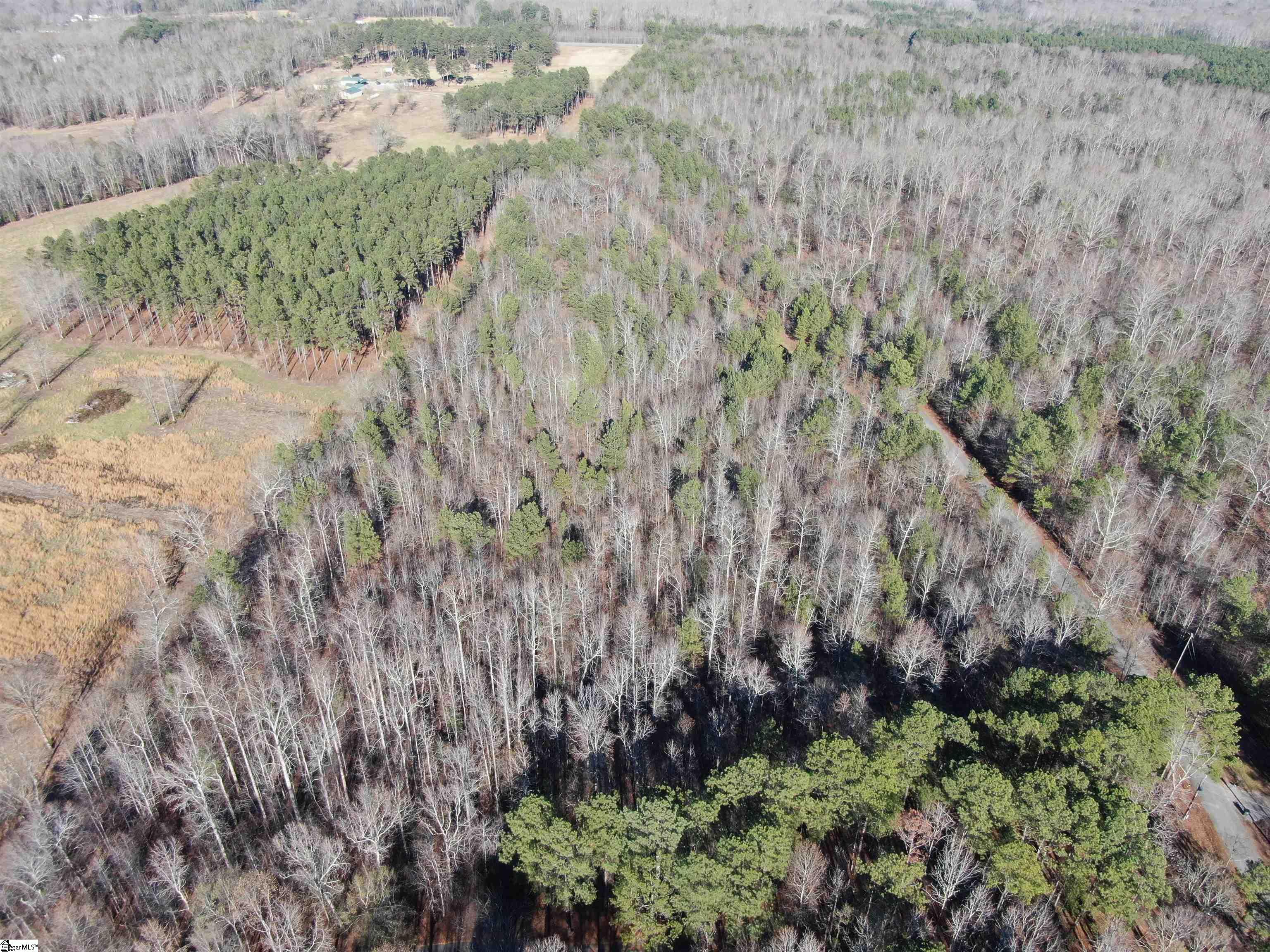 Scott Lane Property Photo 17