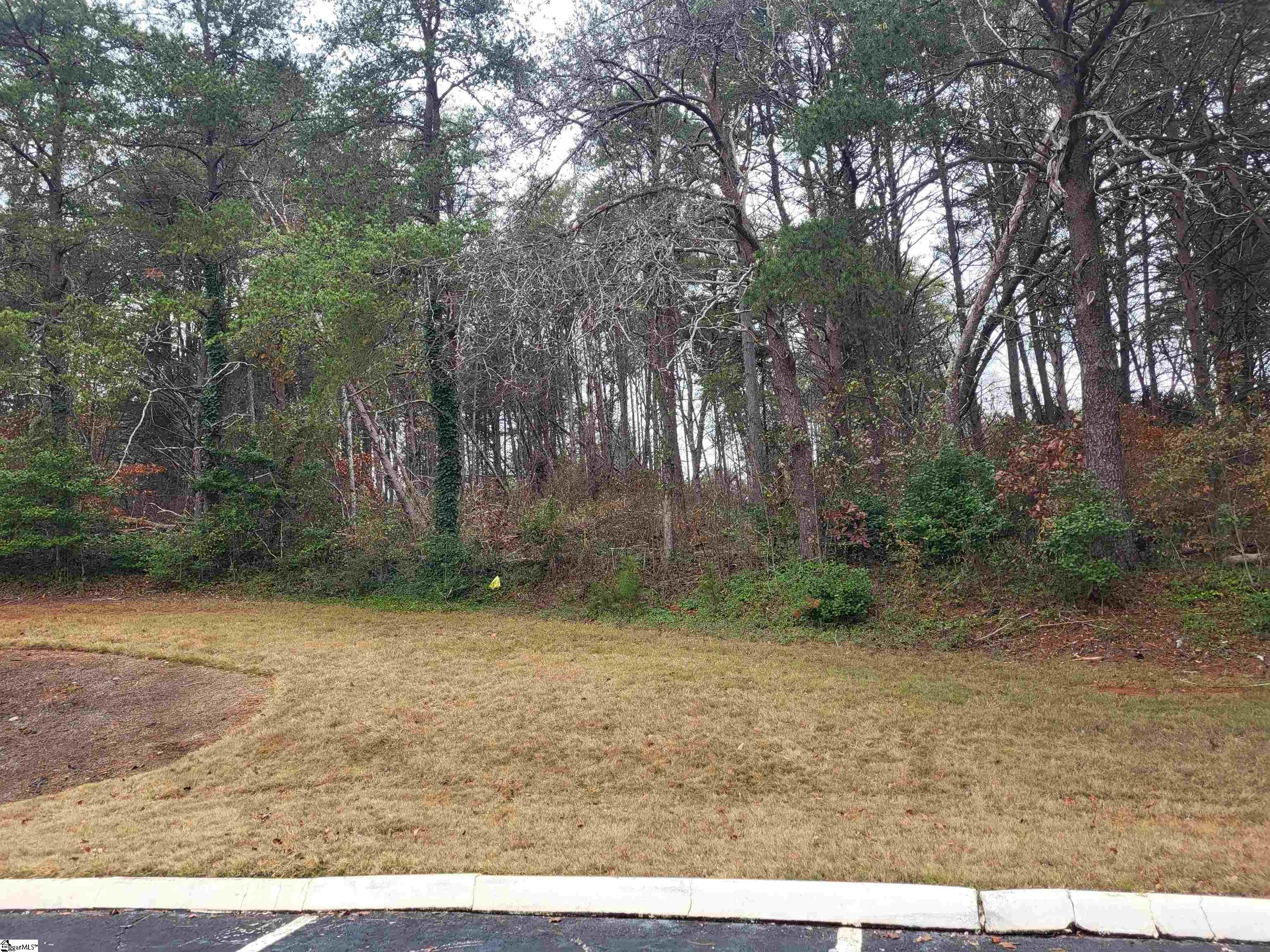0 Pinecroft Drive Property Photo 2
