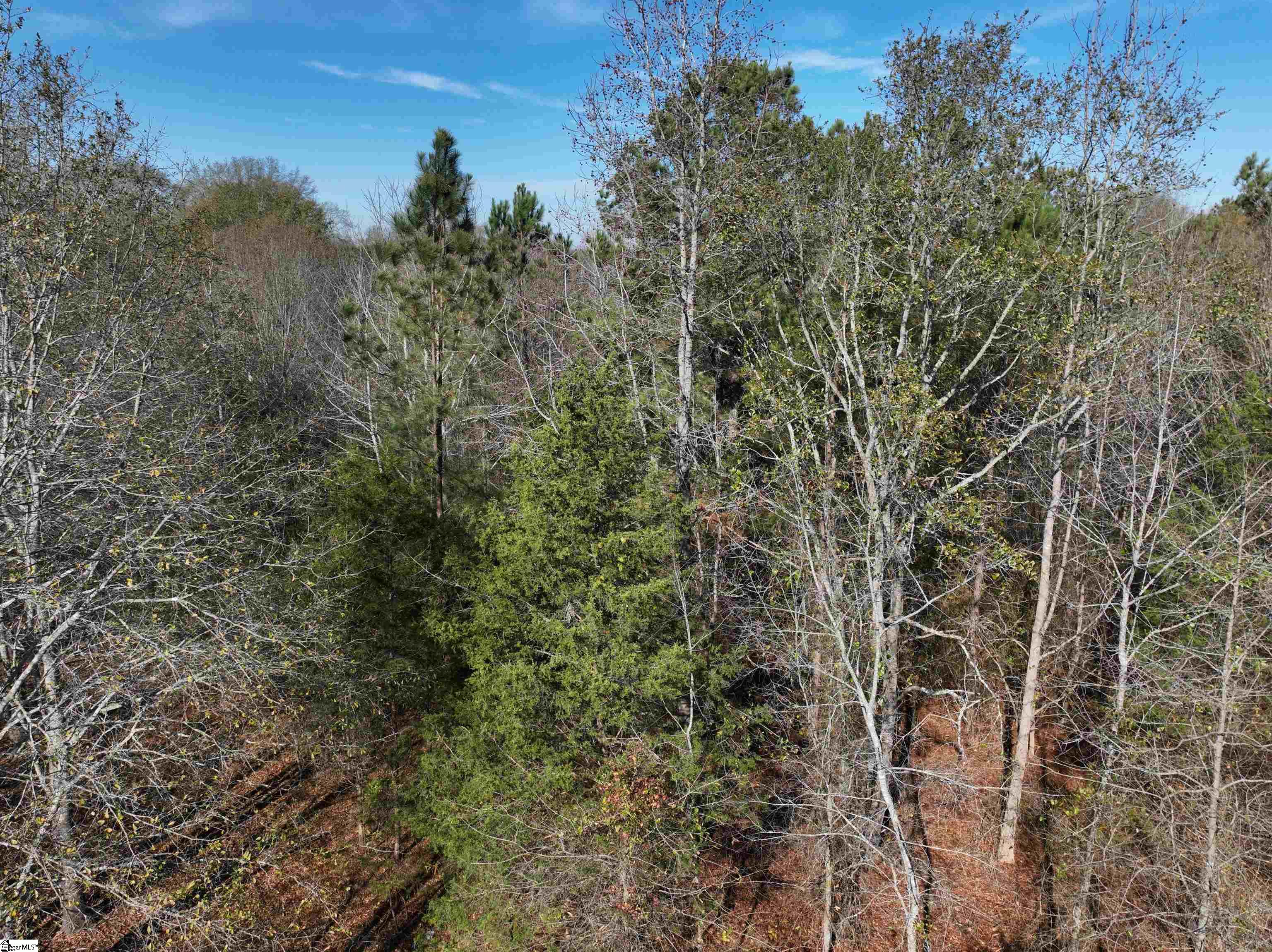 2821 Middleton Road Property Photo 5