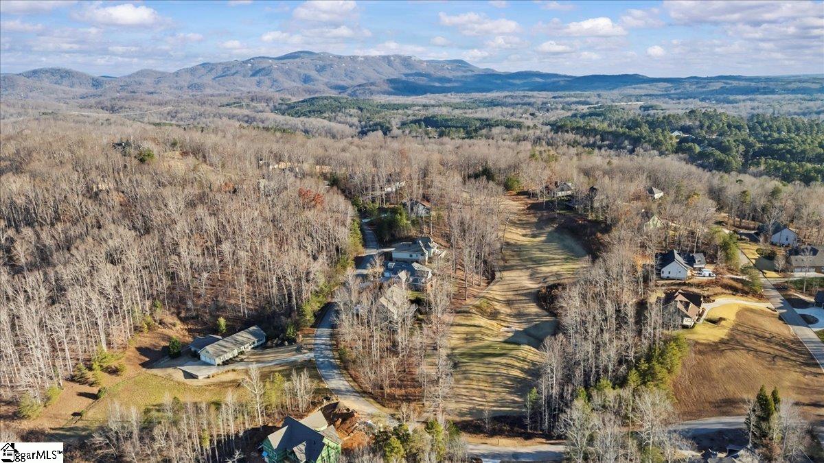 39 Timberline Drive Property Photo 5