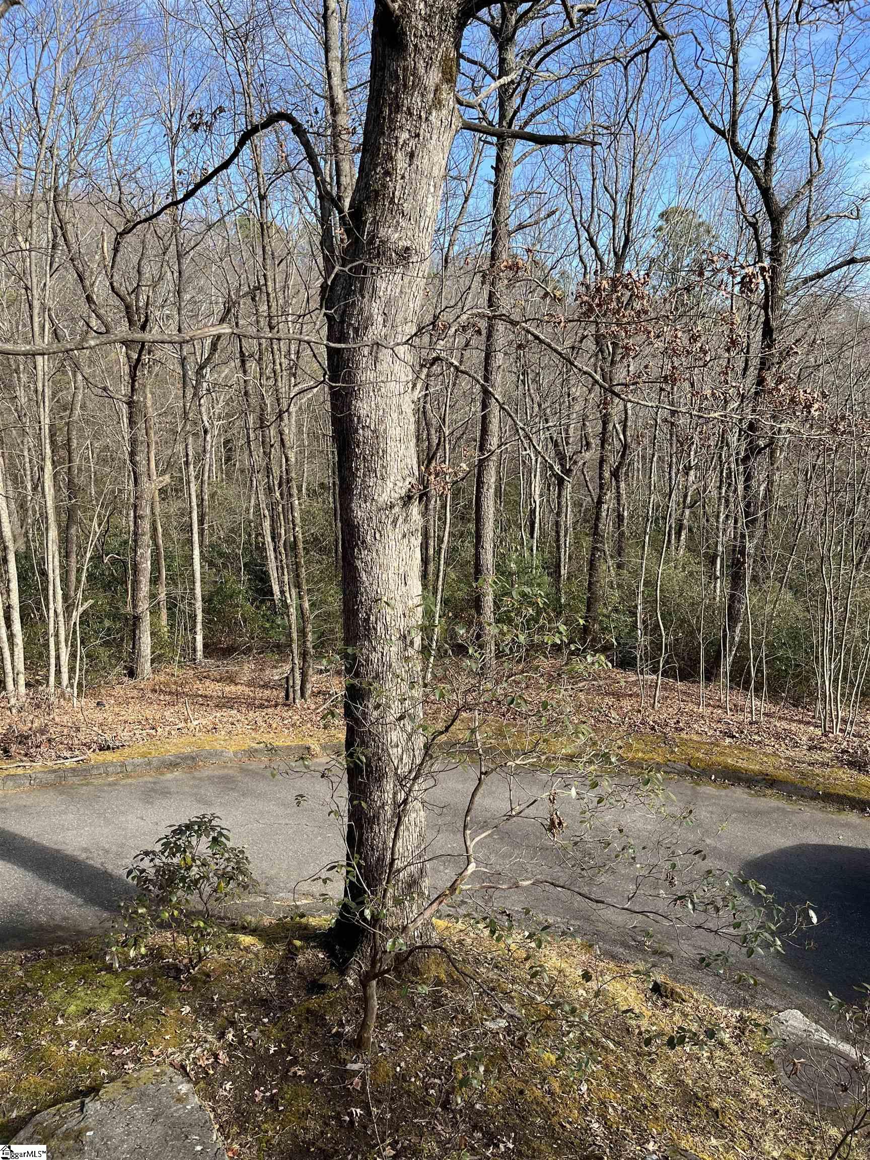 Tbd Woodbine Road Property Photo 2