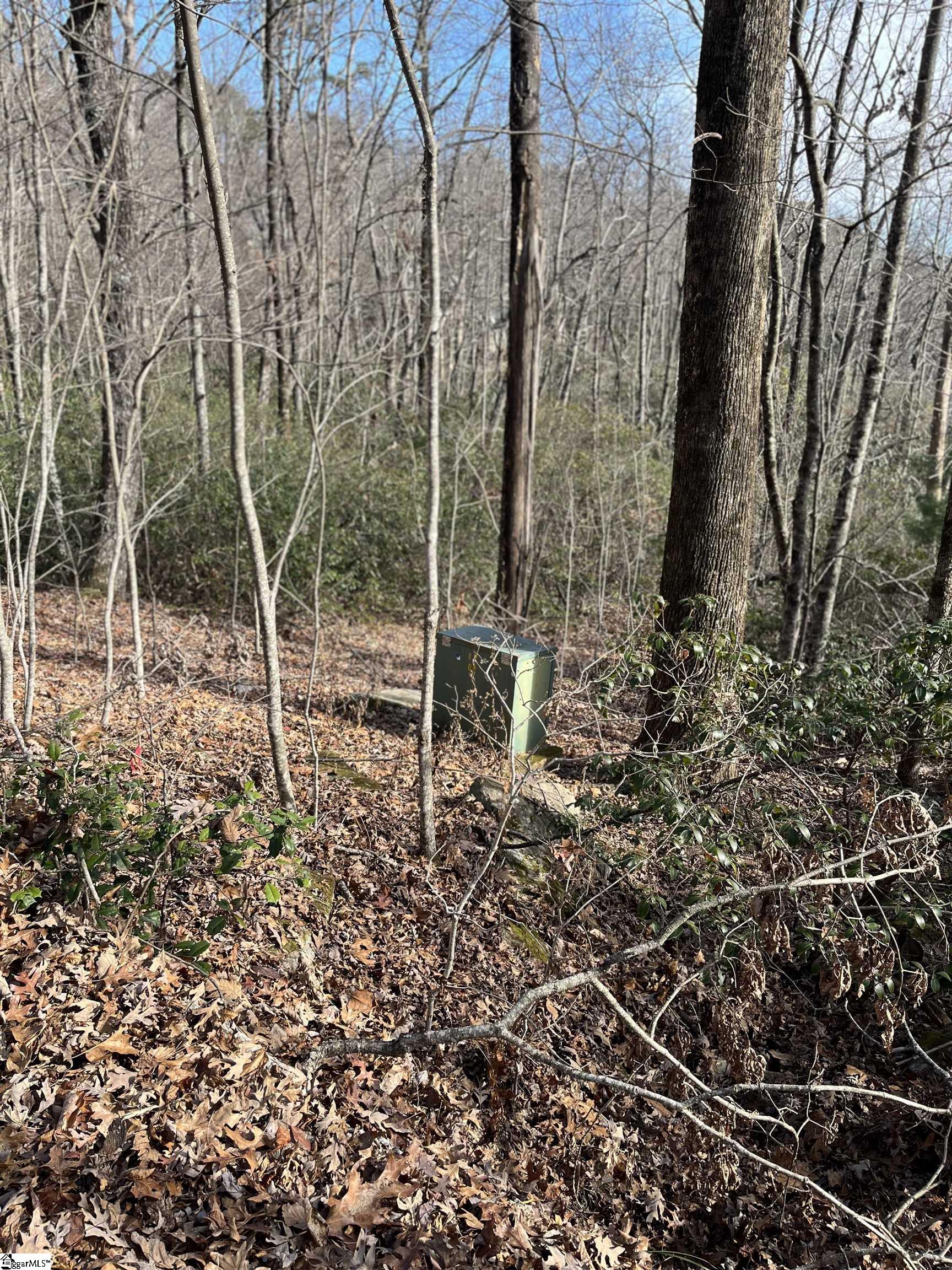 Tbd Woodbine Road Property Photo 3