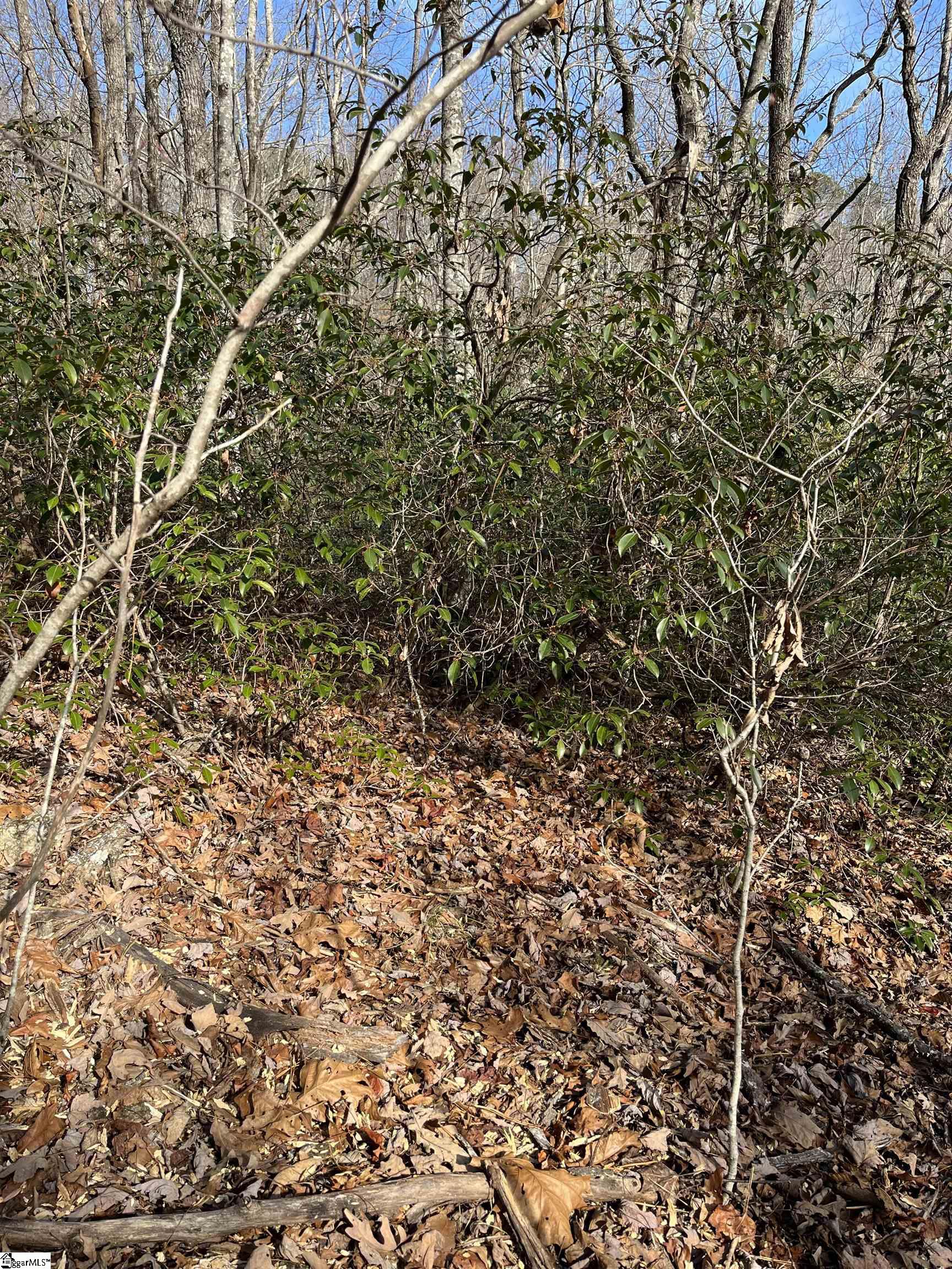 Tbd Woodbine Road Property Photo 4