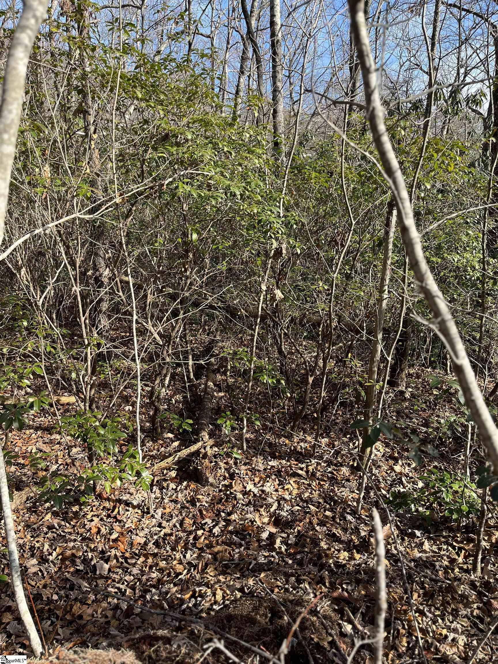 Tbd Woodbine Road Property Photo 5