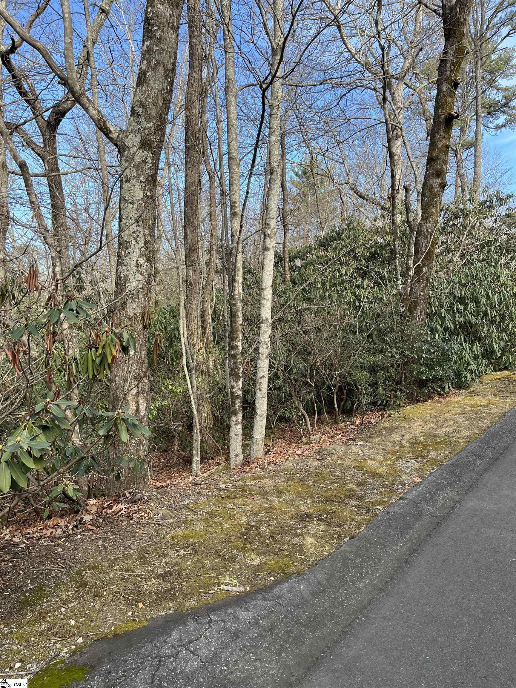 Tbd Cliff Ridge Drive Property Photo 2