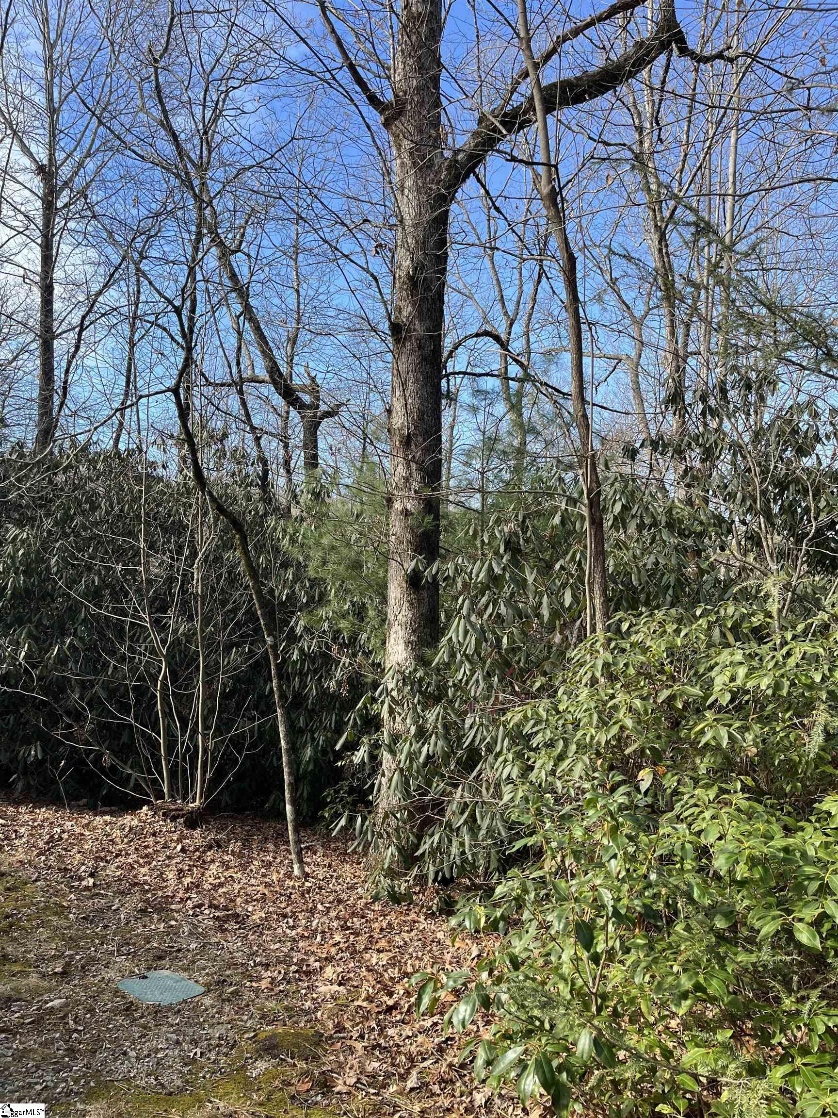 Tbd Cliff Ridge Drive Property Photo 3