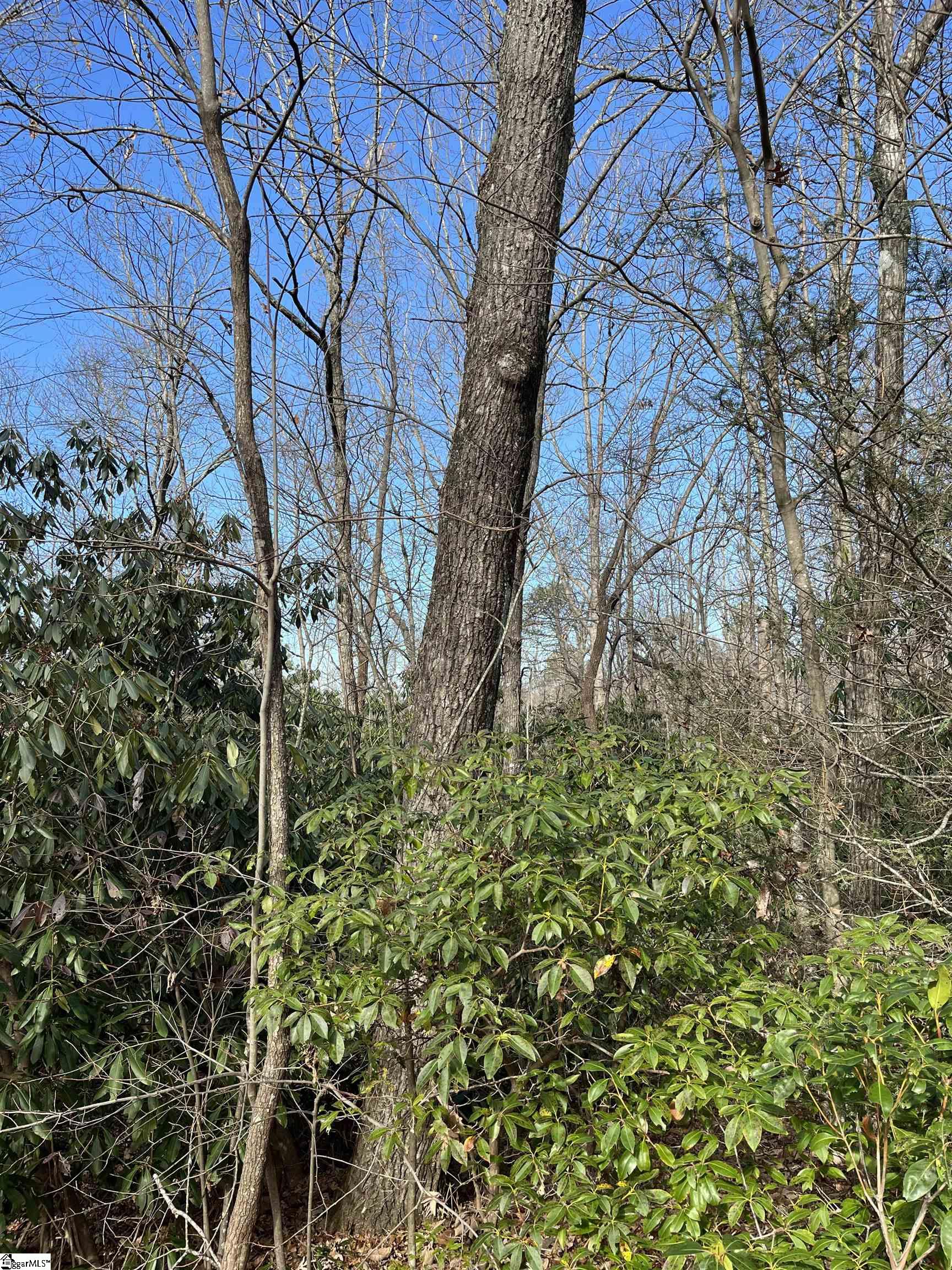 Tbd Cliff Ridge Drive Property Photo 4
