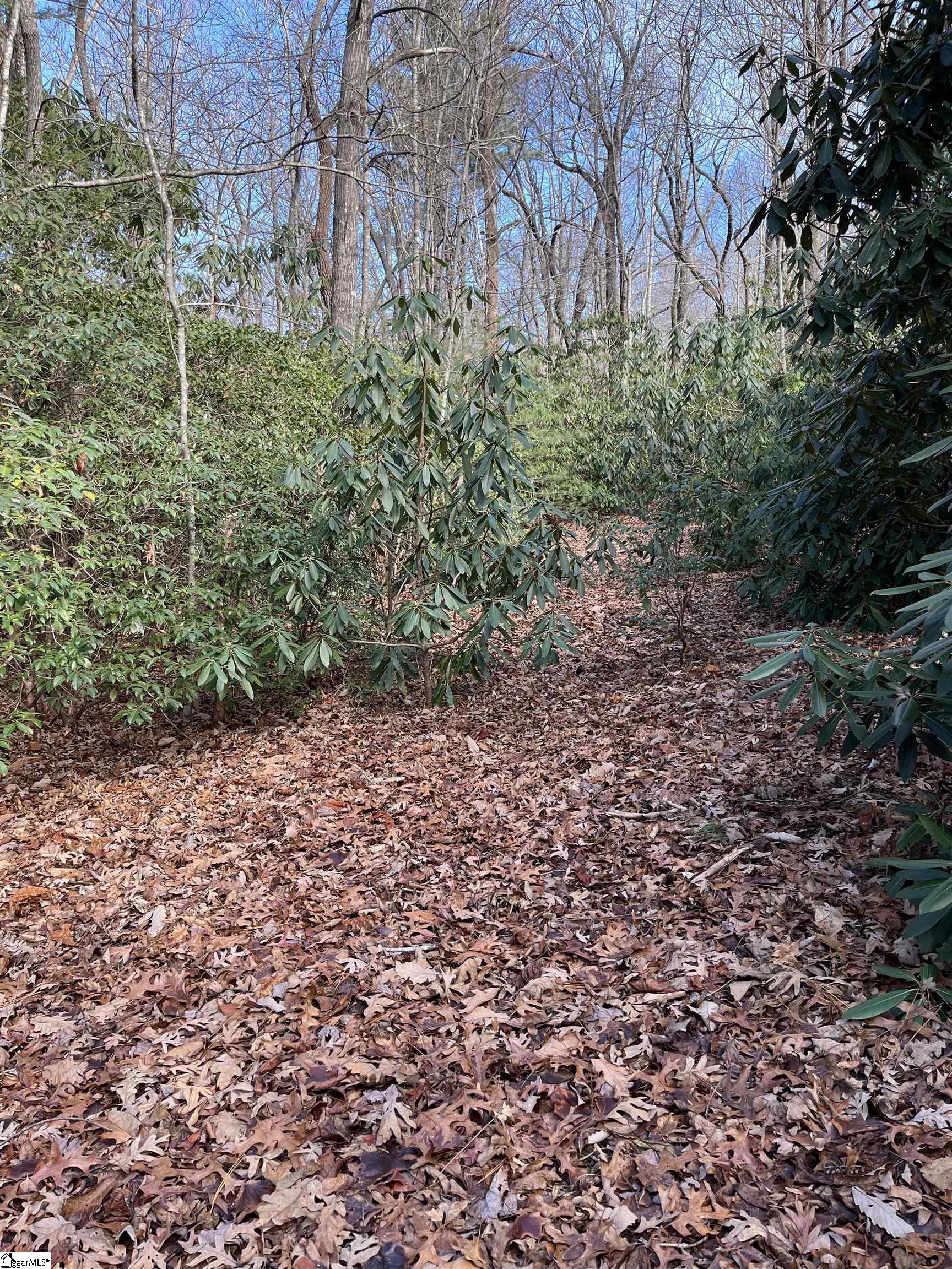 Tbd Cliff Ridge Drive Property Photo 5