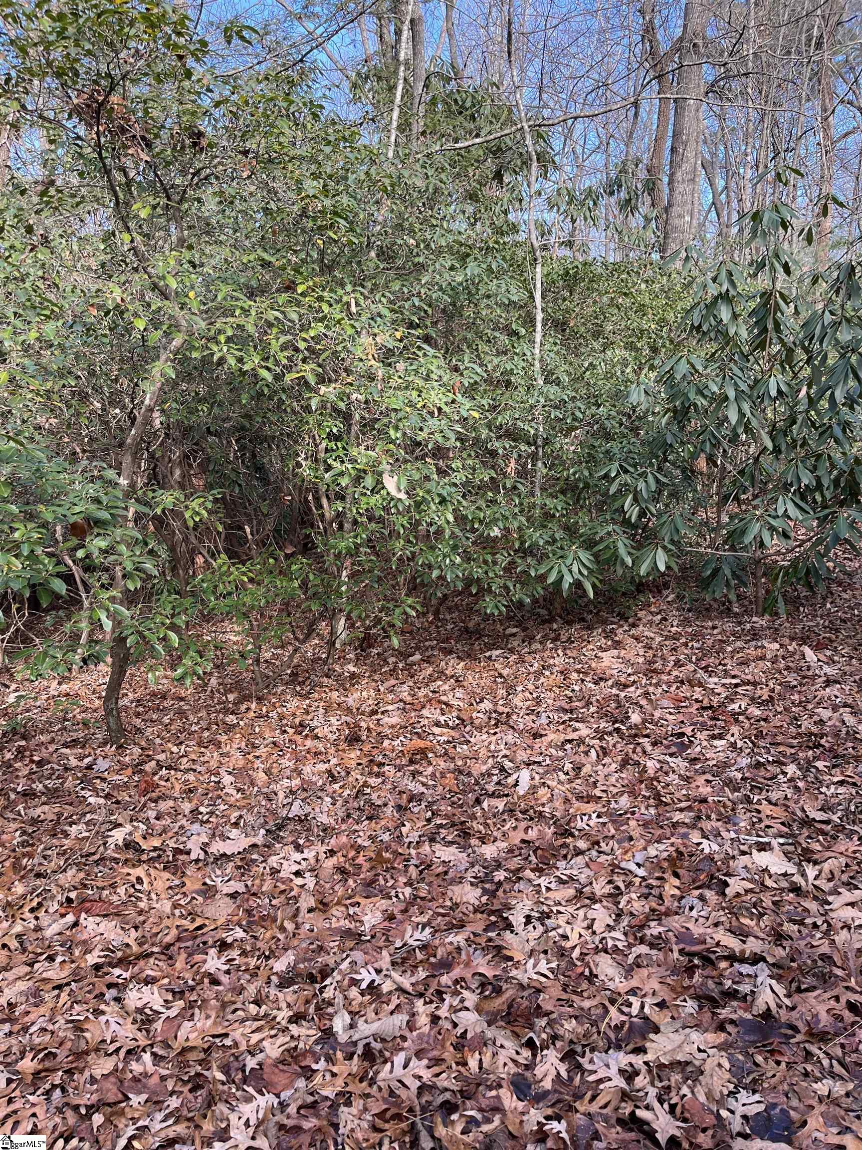 Tbd Cliff Ridge Drive Property Photo 6
