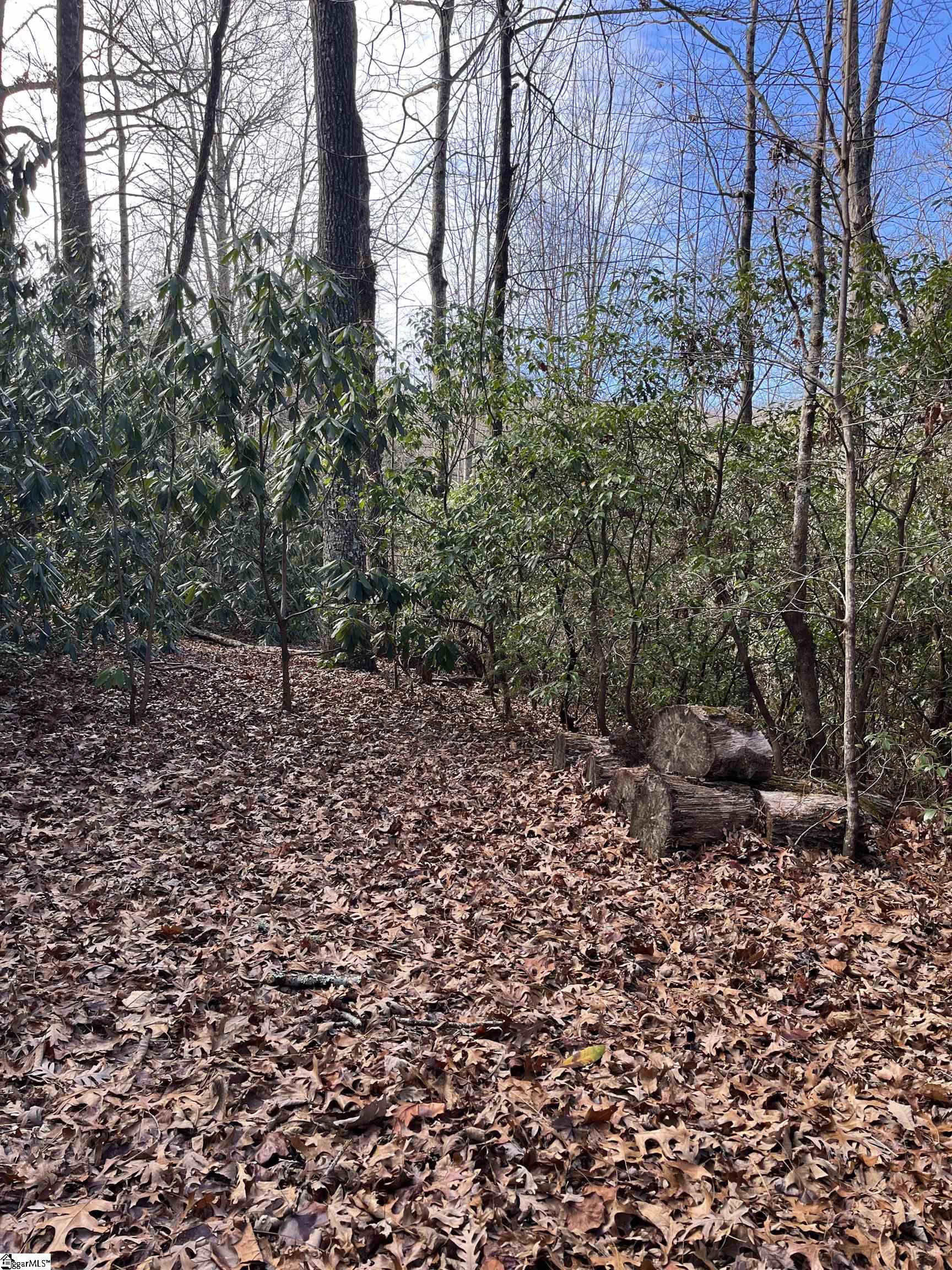 Tbd Cliff Ridge Drive Property Photo 7
