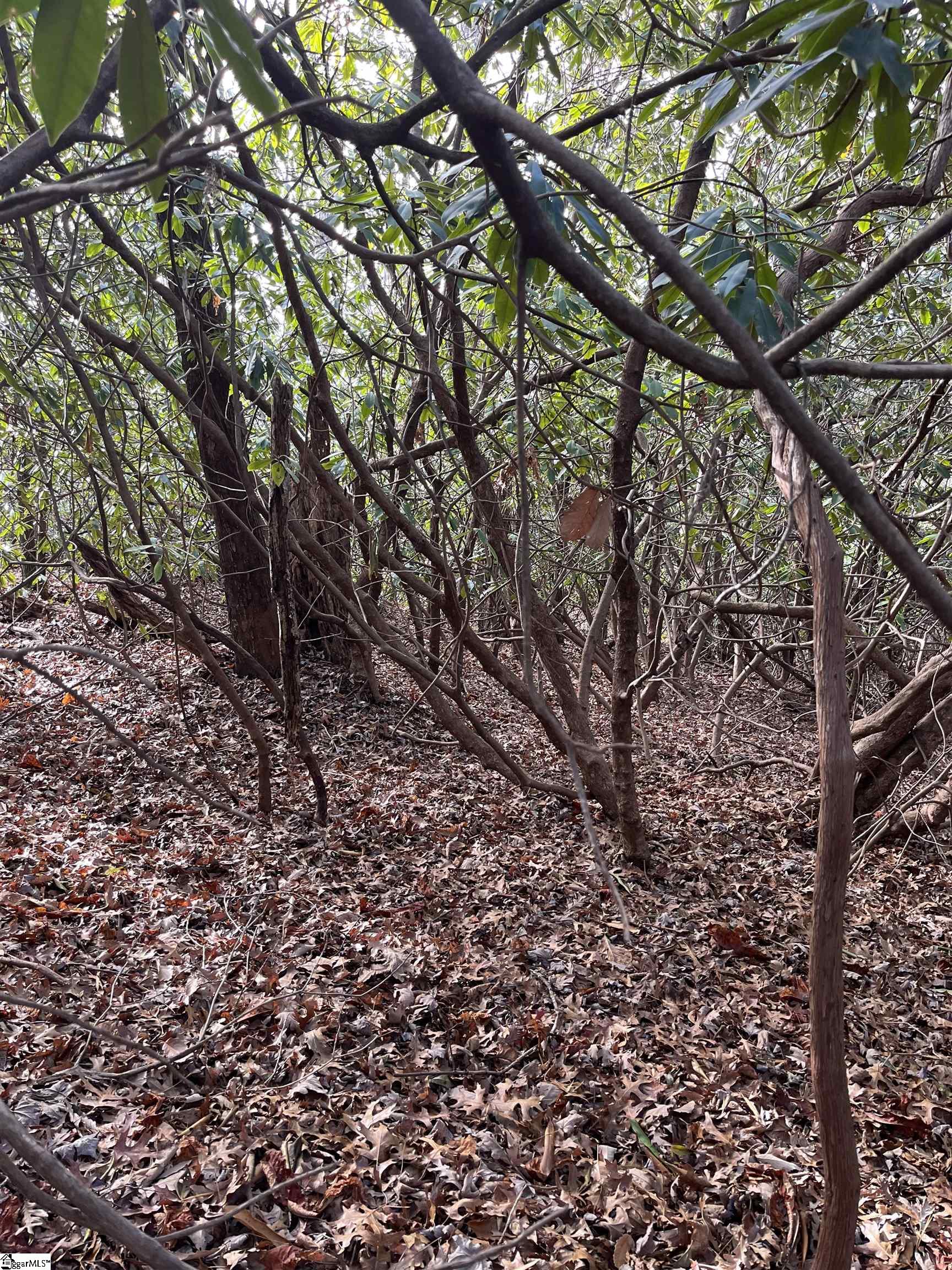Tbd Cliff Ridge Drive Property Photo 11
