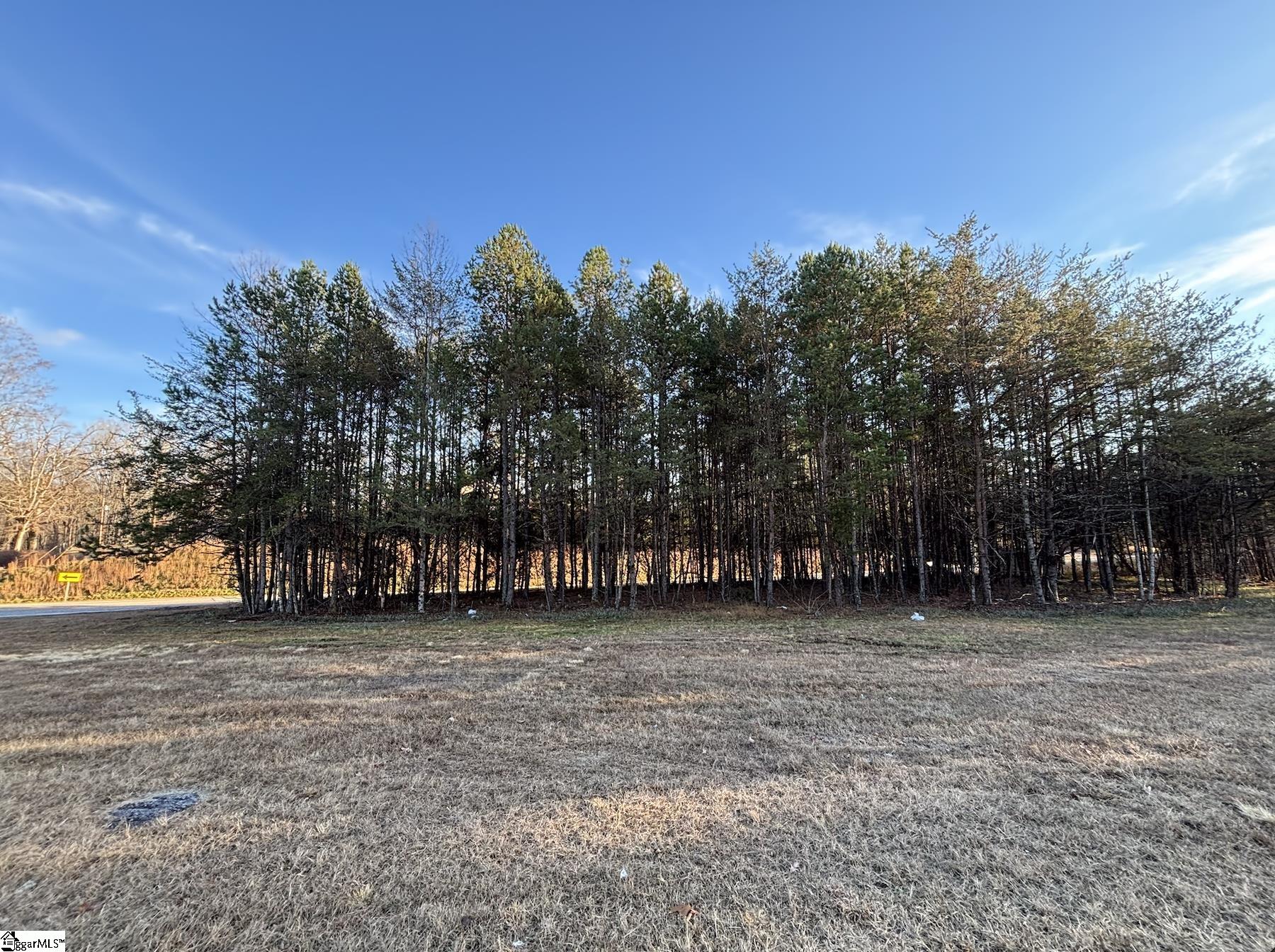 5335 Pumpkintown Highway Property Photo 6