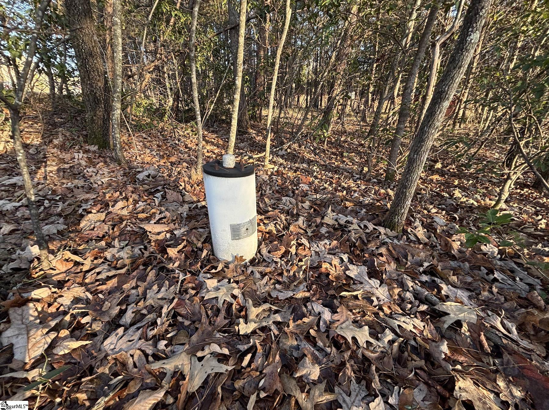 5335 Pumpkintown Highway Property Photo 9