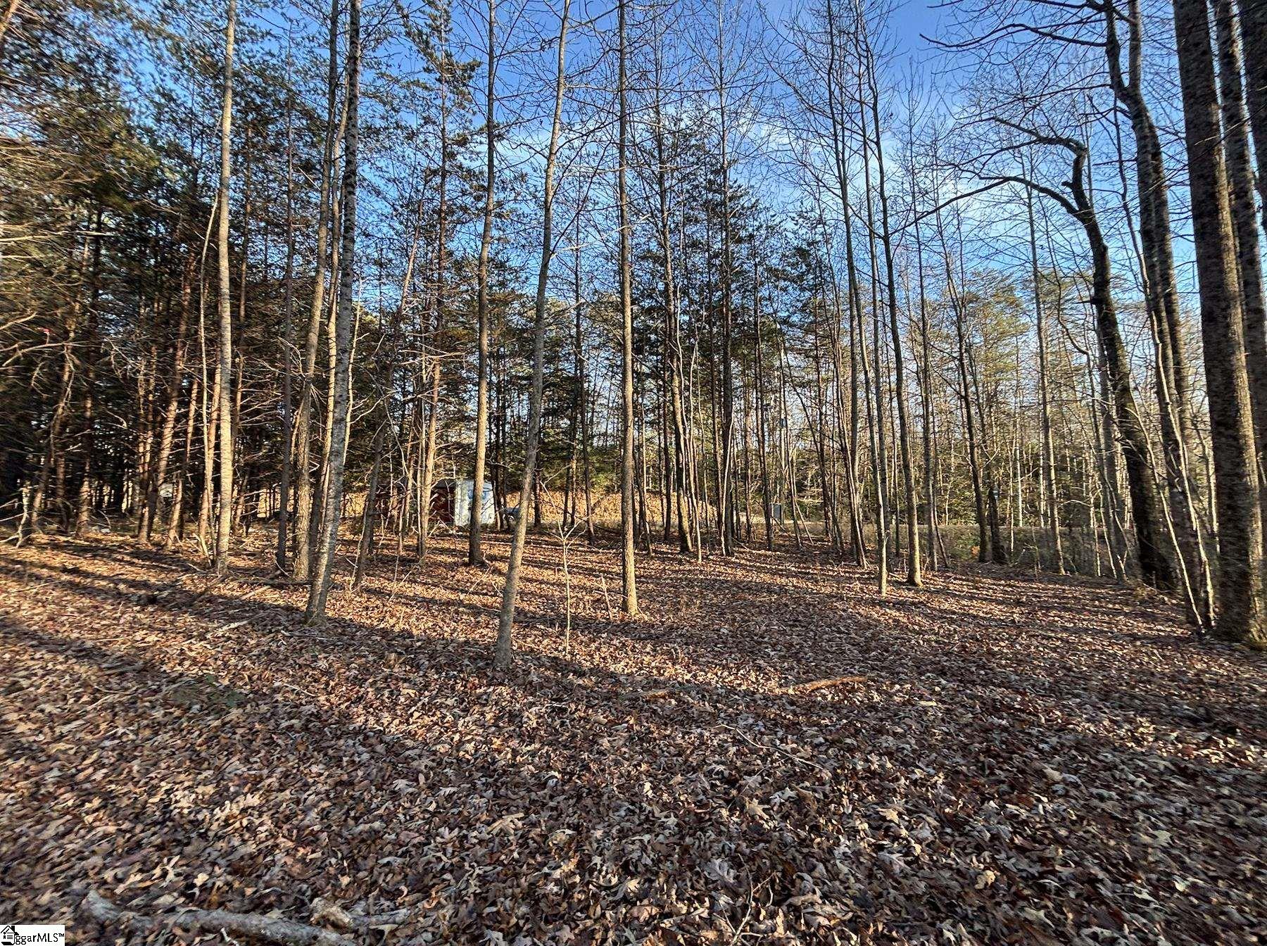 5335 Pumpkintown Highway Property Photo 10