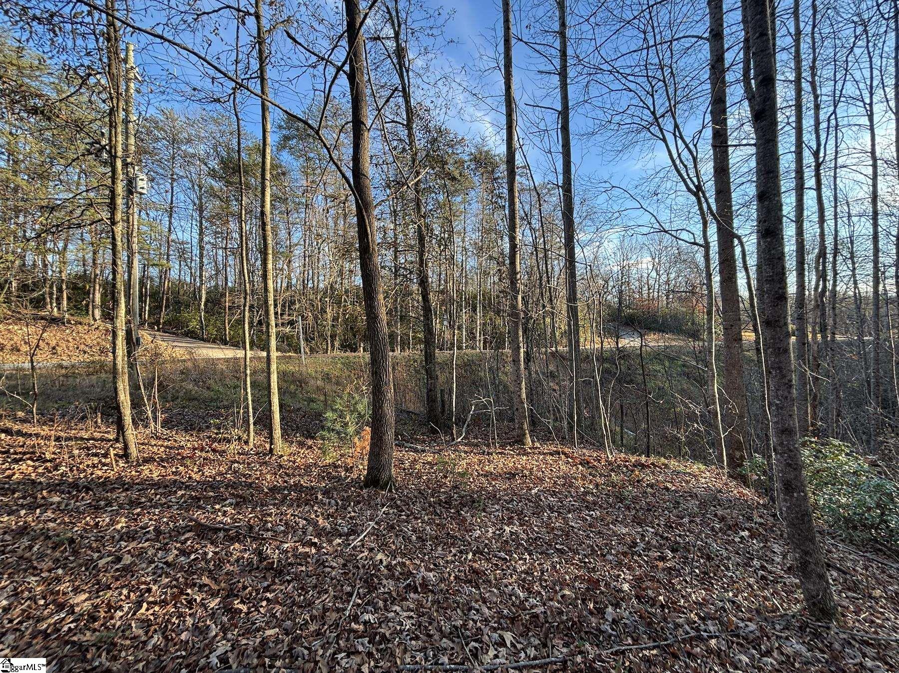 5335 Pumpkintown Highway Property Photo 11