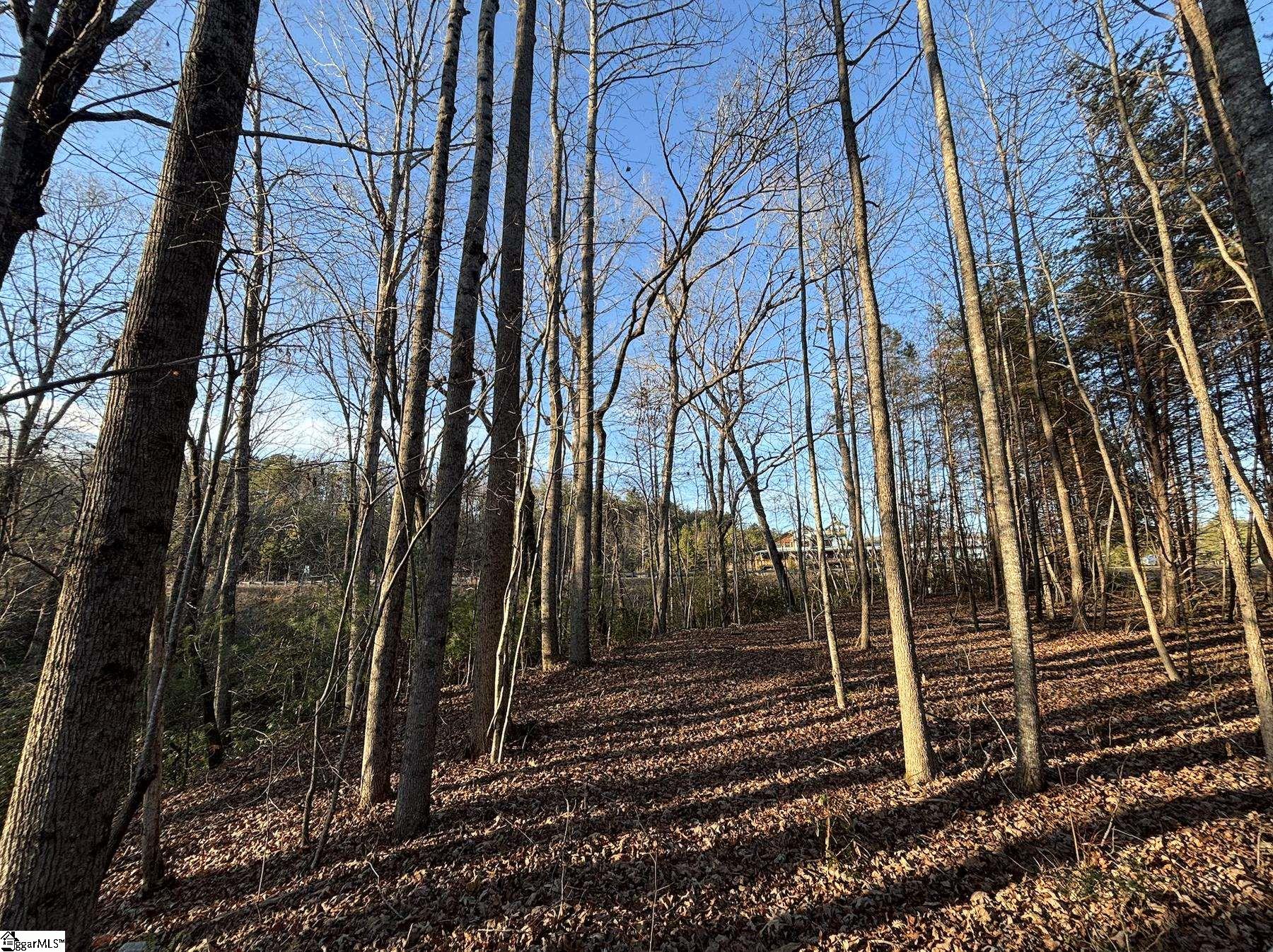 5335 Pumpkintown Highway Property Photo 12