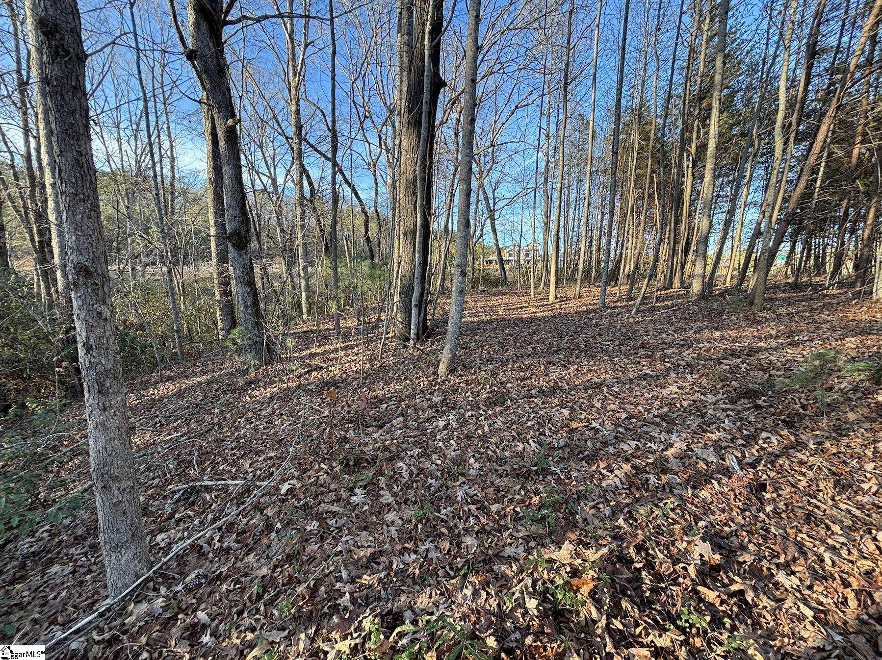 5335 Pumpkintown Highway Property Photo 13