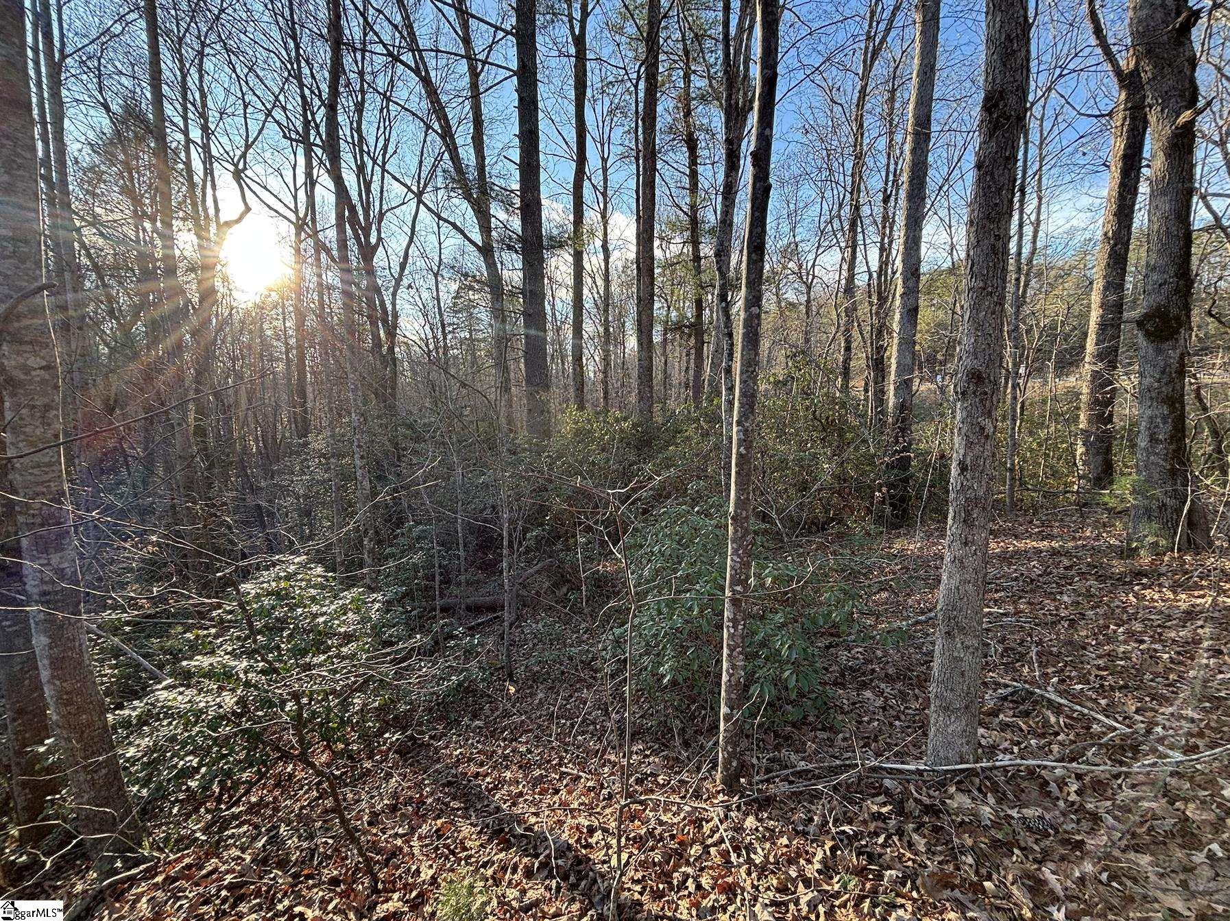 5335 Pumpkintown Highway Property Photo 14
