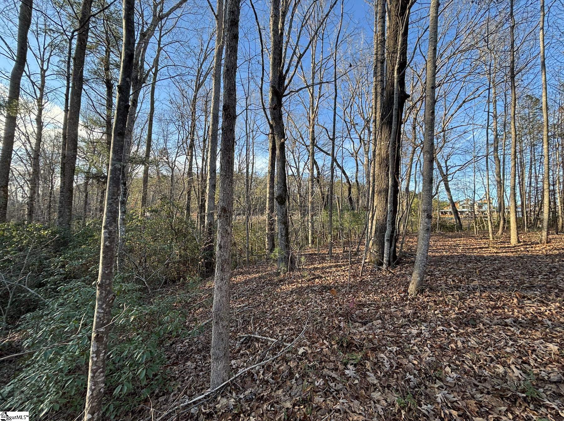 5335 Pumpkintown Highway Property Photo 15