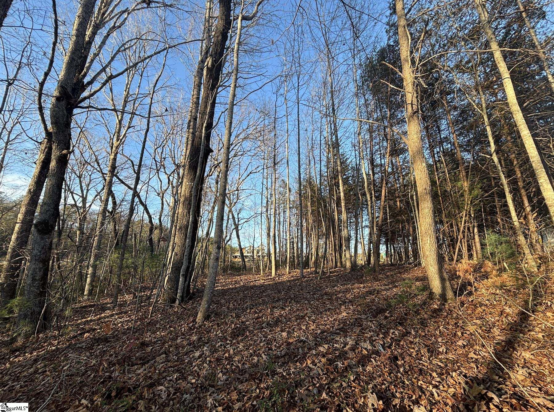 5335 Pumpkintown Highway Property Photo 16