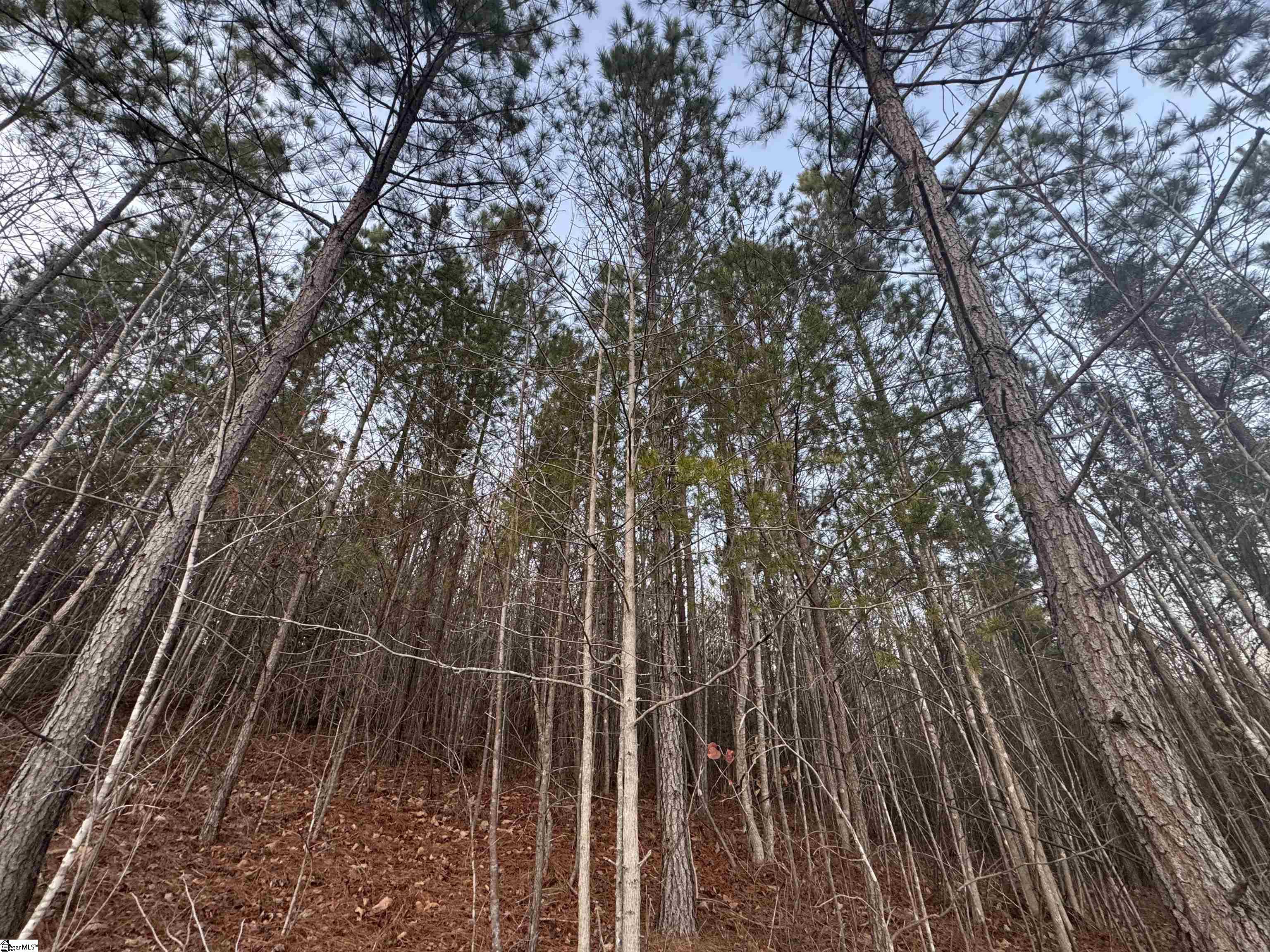 38 Old Plantation Road Property Photo 9