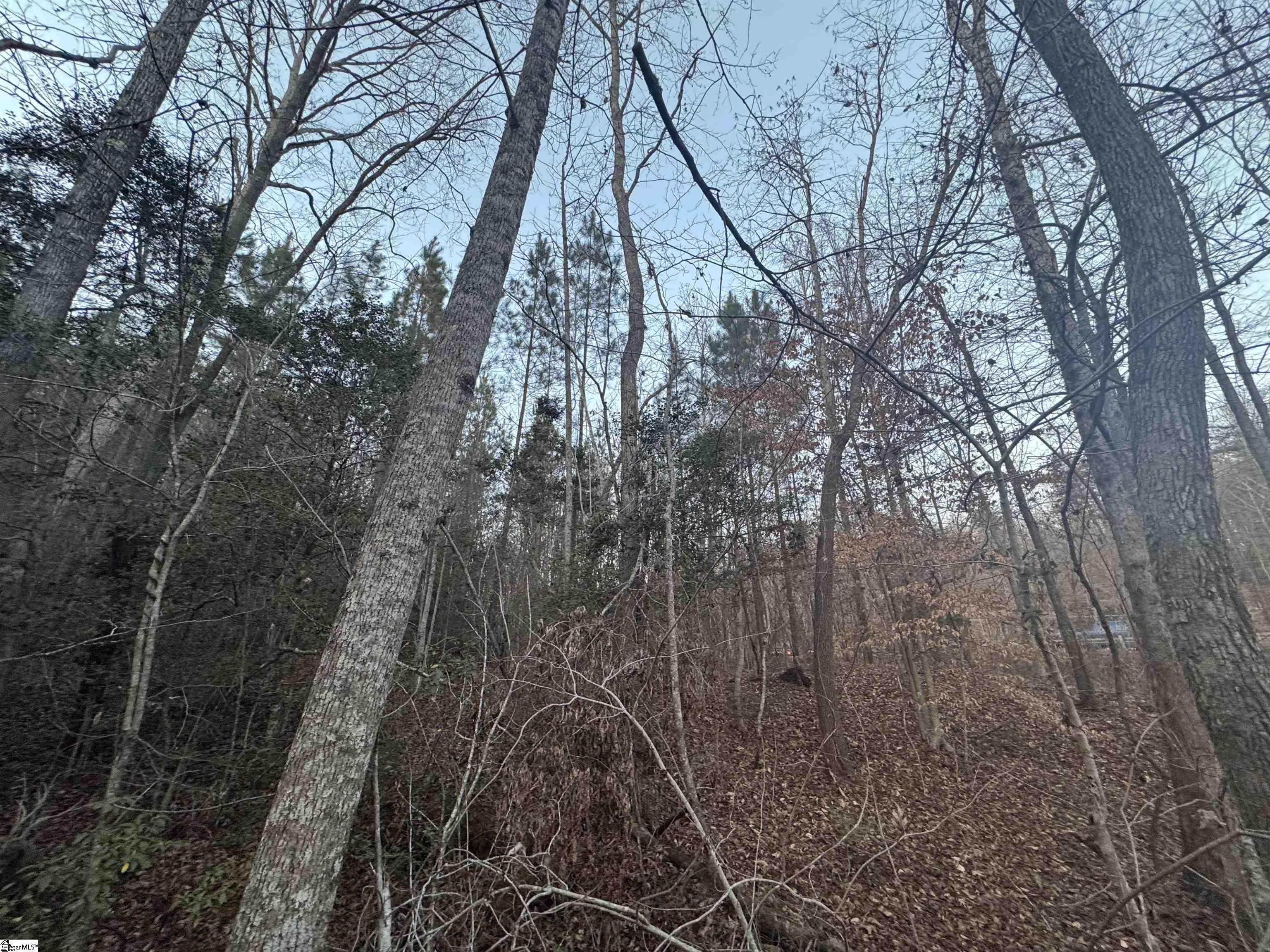 38 Old Plantation Road Property Photo 14